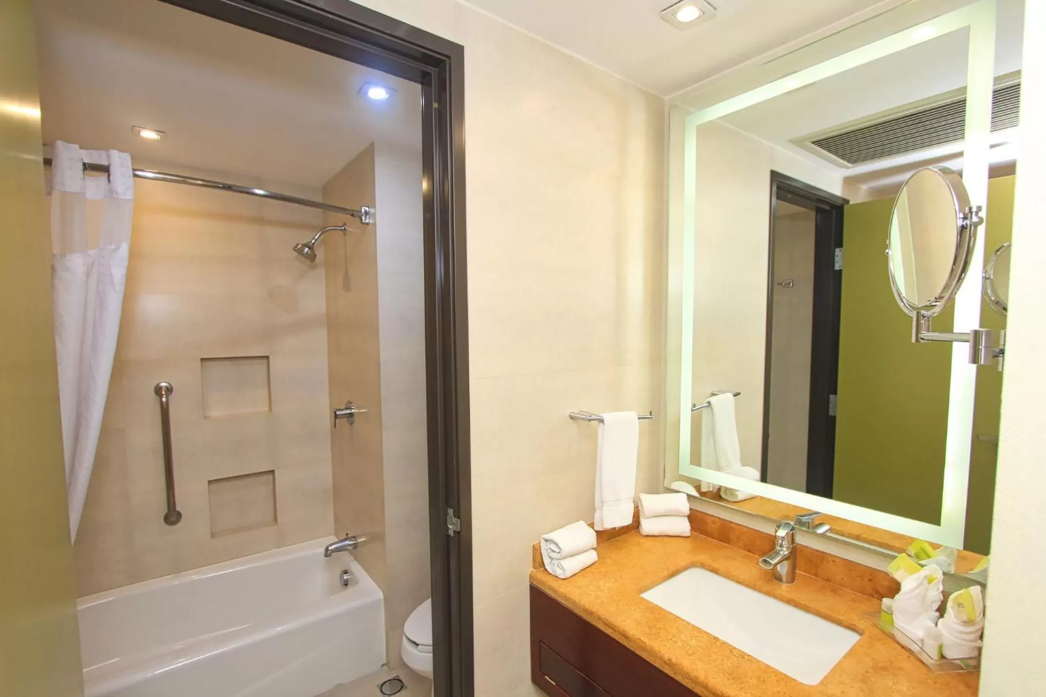Bathroom in Holiday Inn Leon by IHG