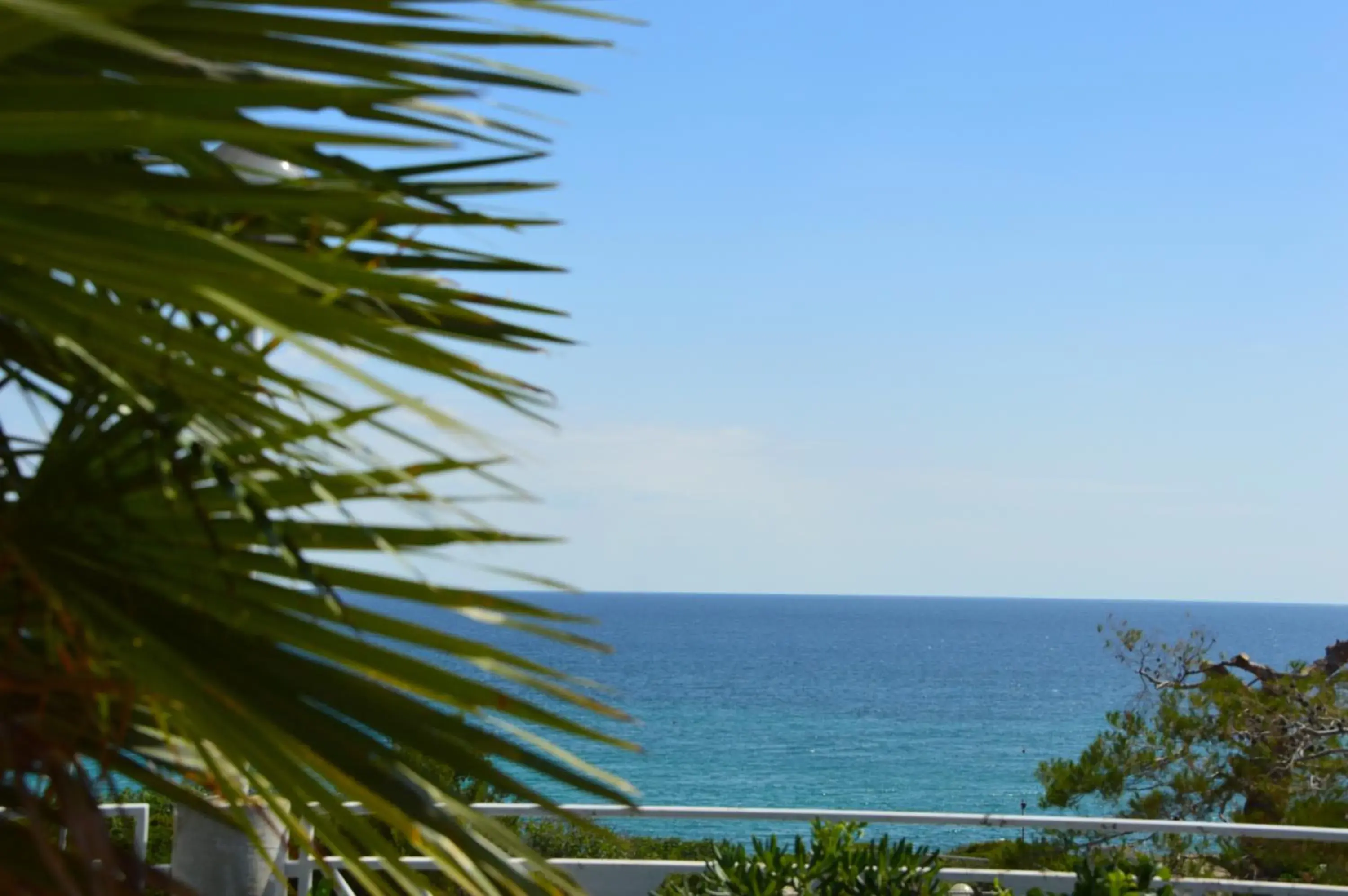 Sea view in Hotel Residence La Corvetta