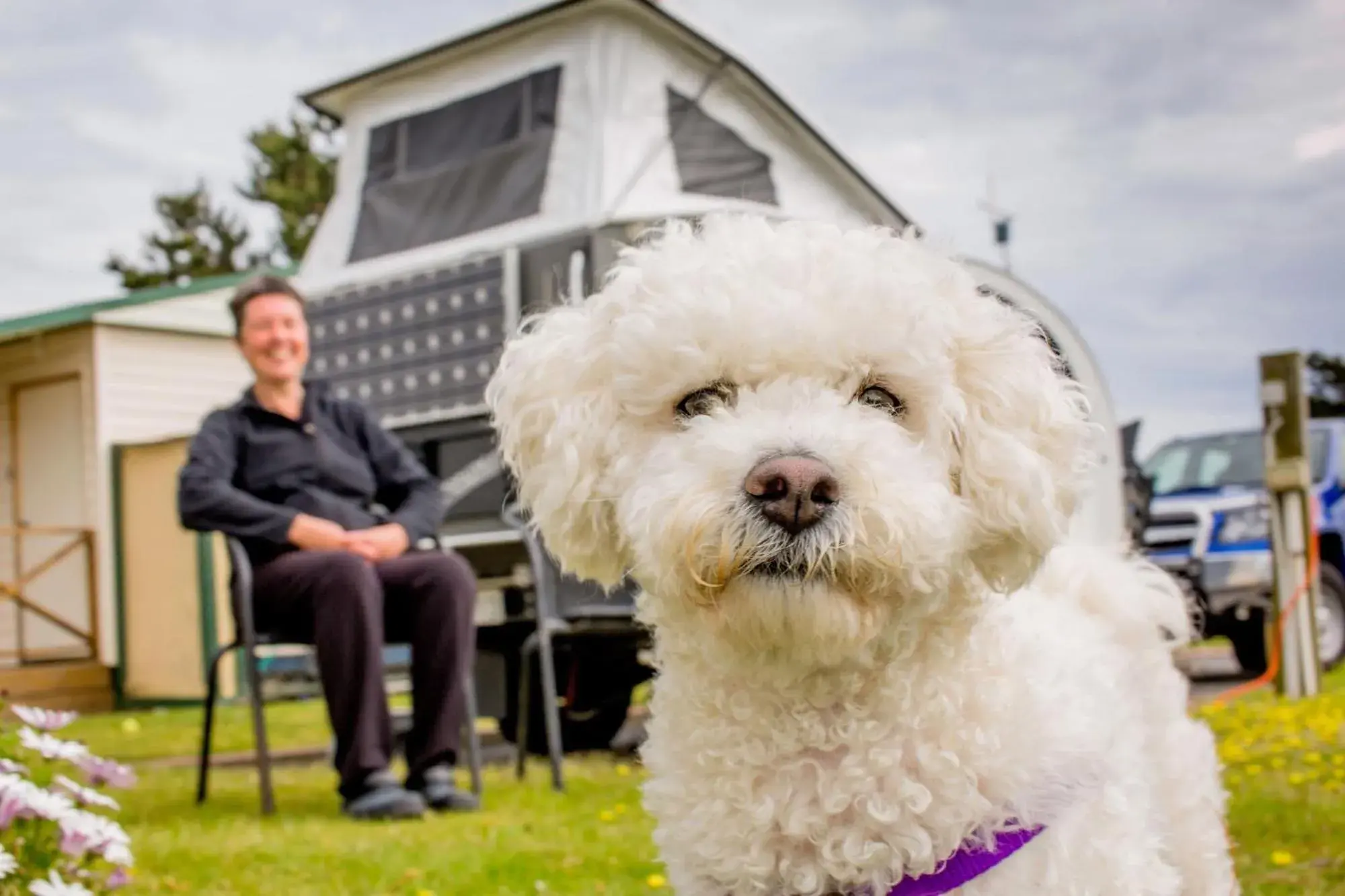 Pets, Property Building in Discovery Parks - Perth Airport