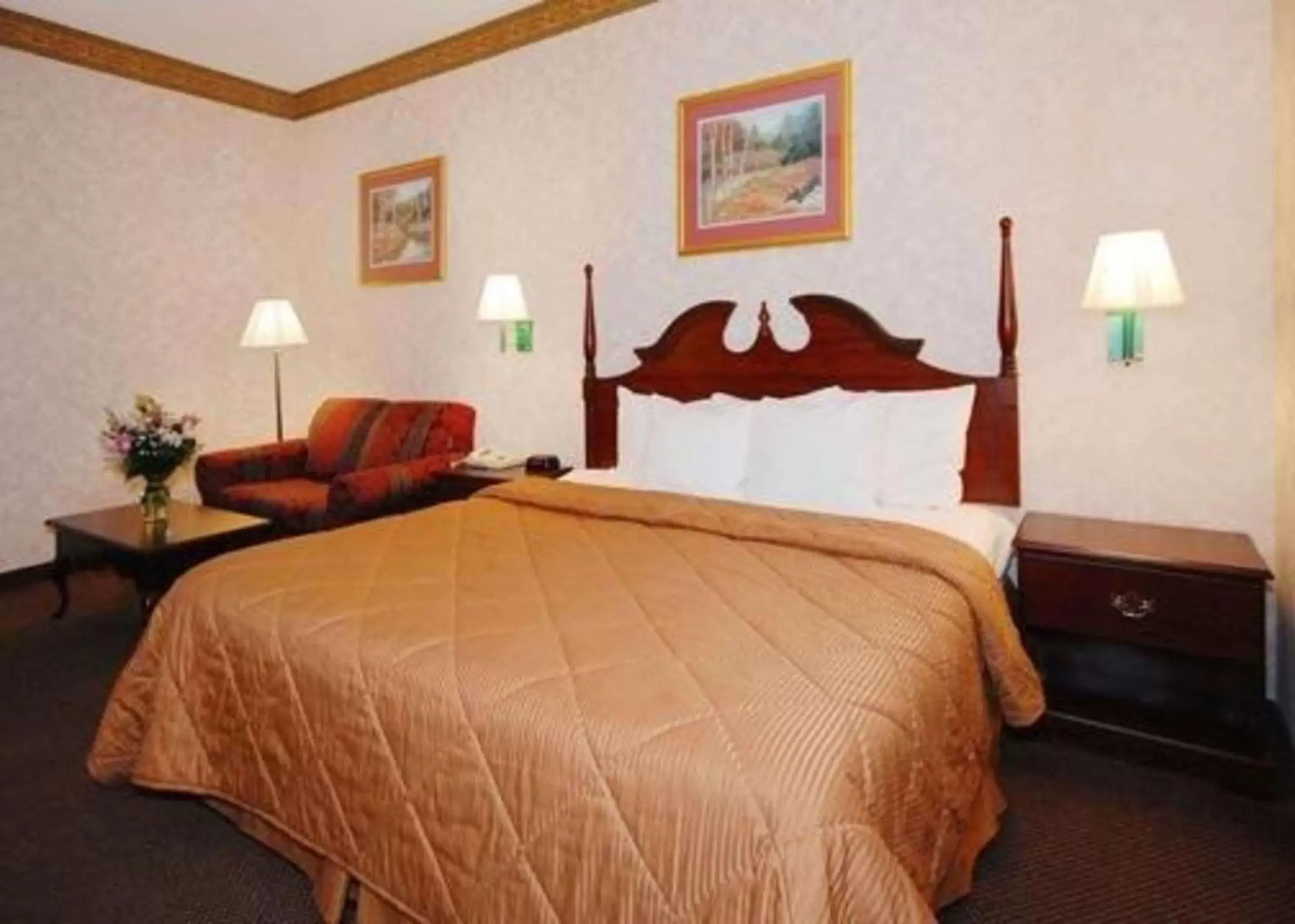 Photo of the whole room, Bed in Quality Inn & Suites Tarboro - Kingsboro