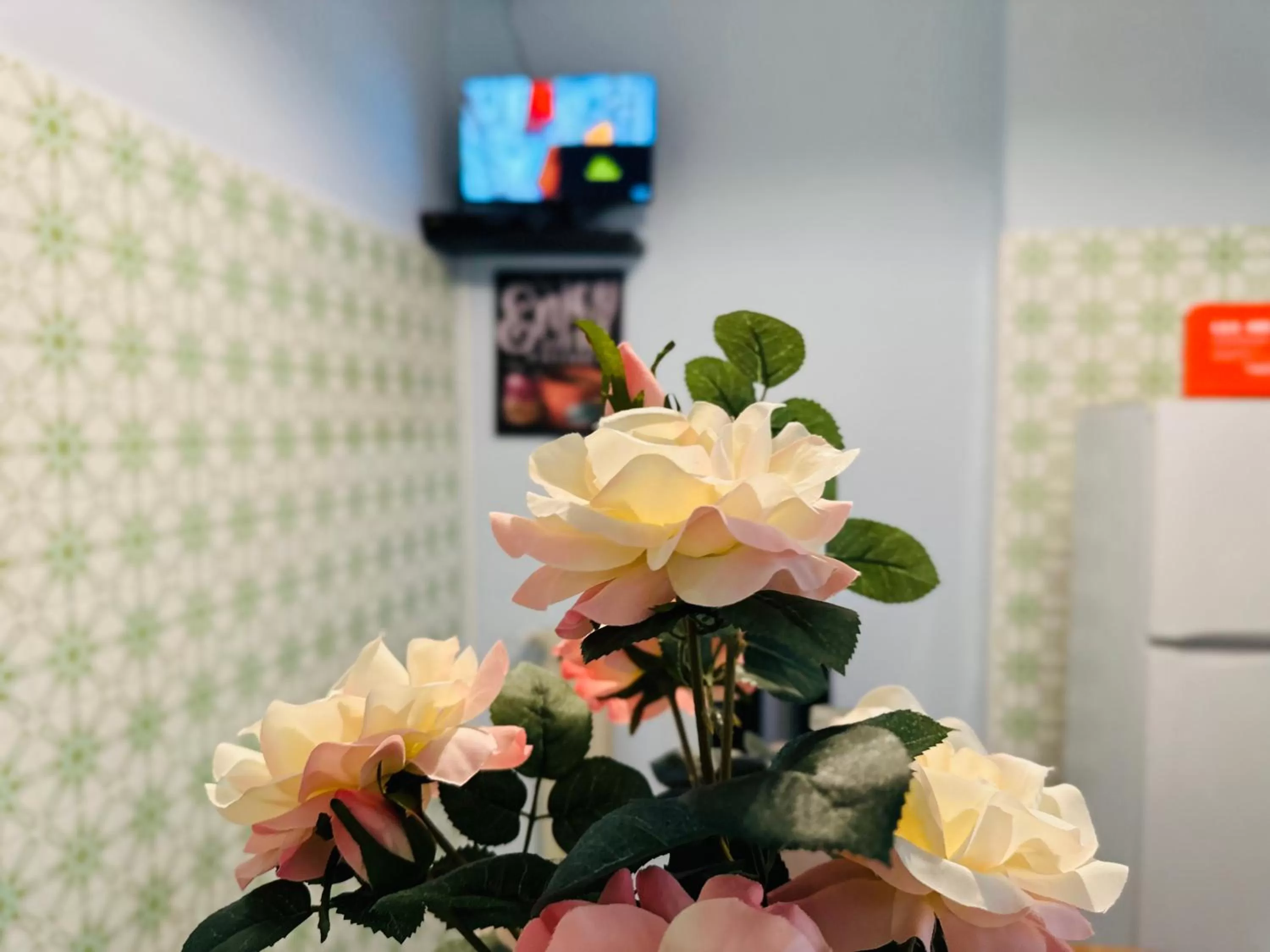 TV/Entertainment Center in B&B PEACE 2