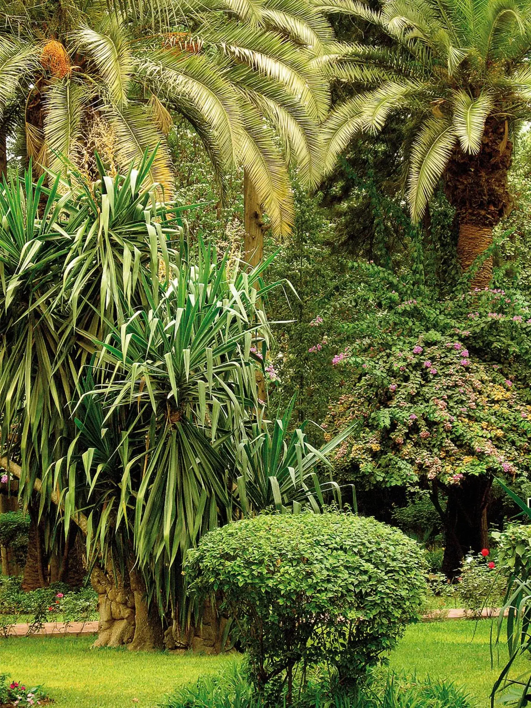 Garden in Es Saadi Marrakech Resort - Hotel