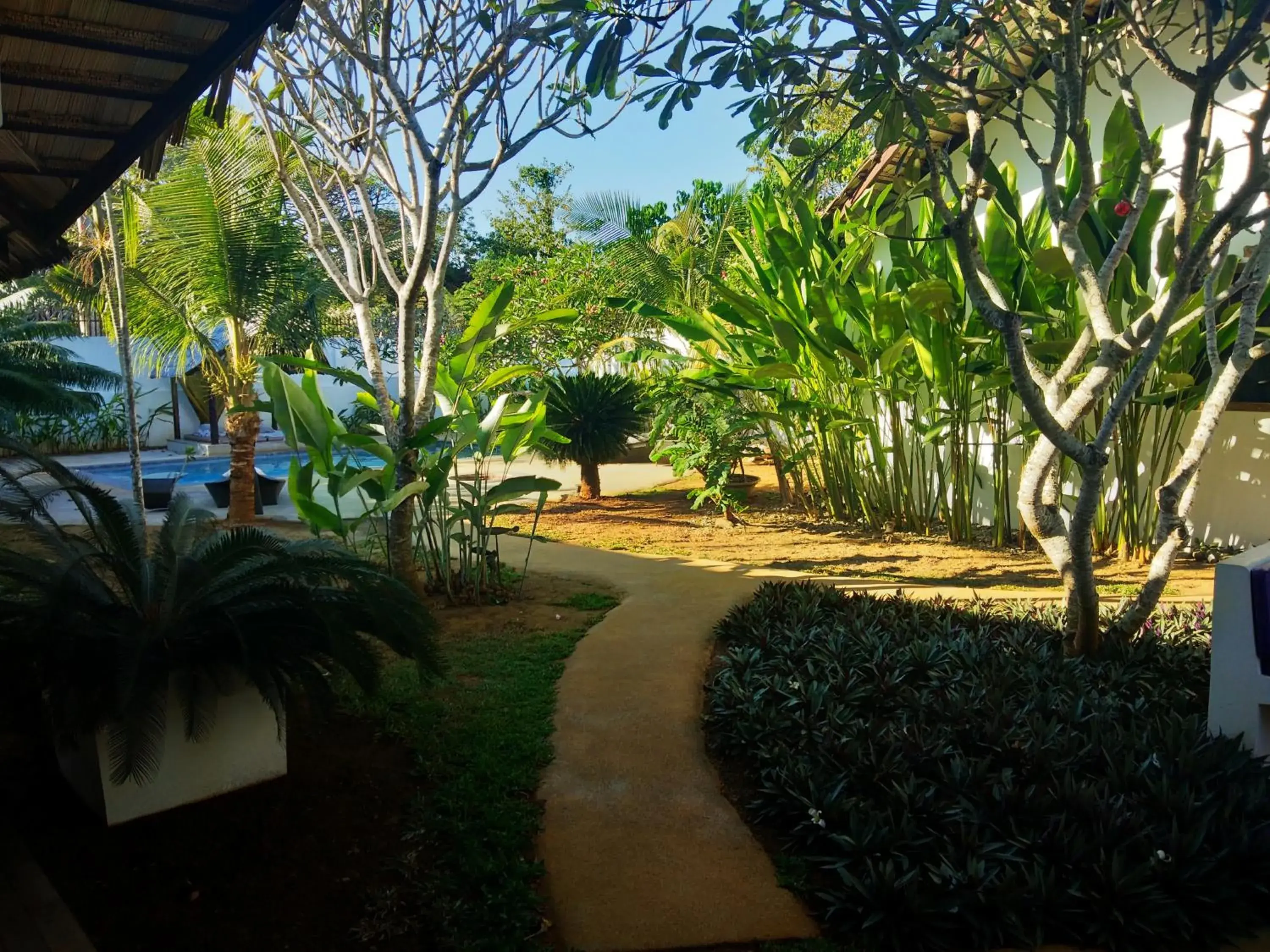 Garden in Villa Kalachuchi V.K