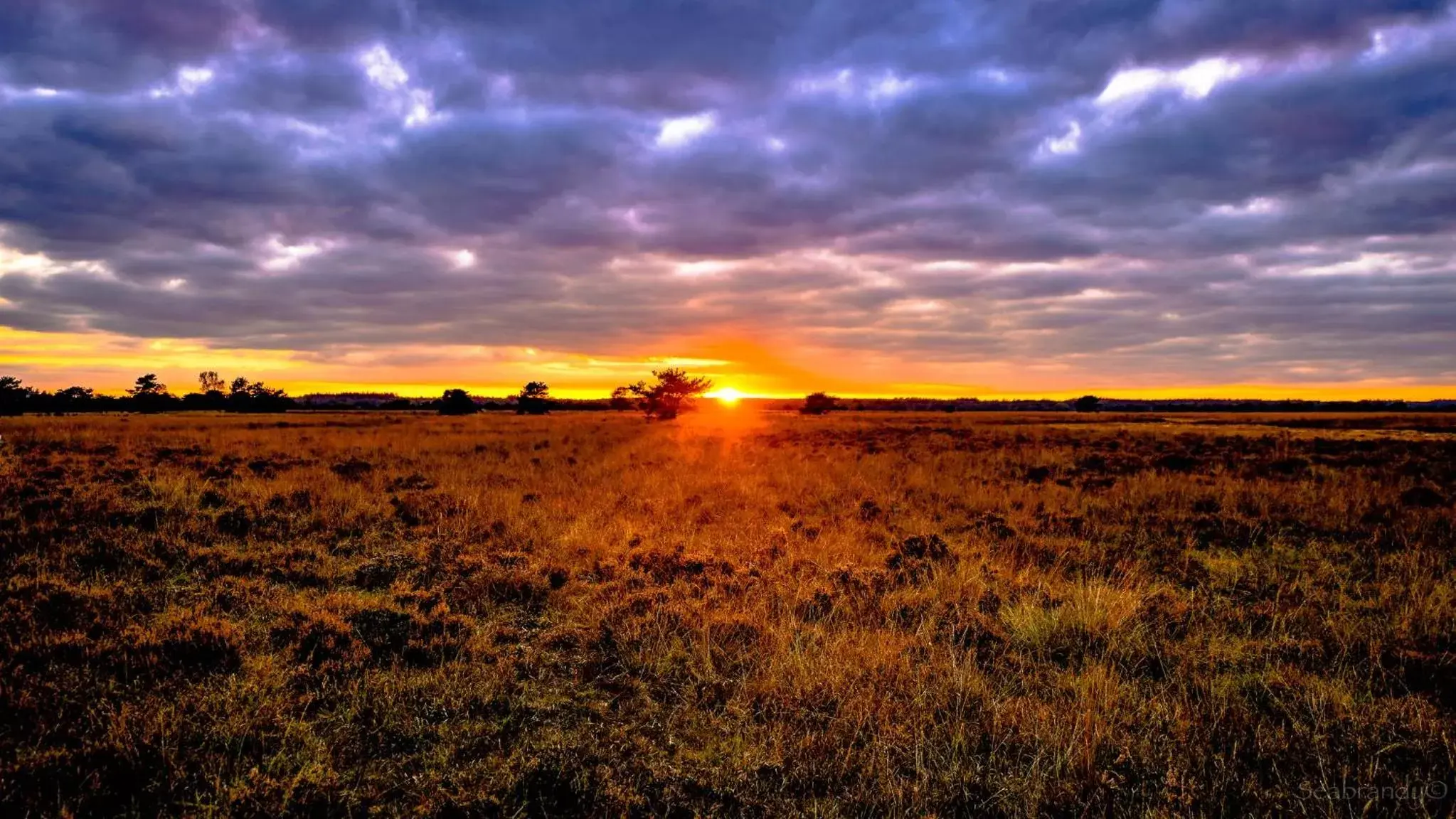 Natural landscape in Heerlickheijd van Ermelo