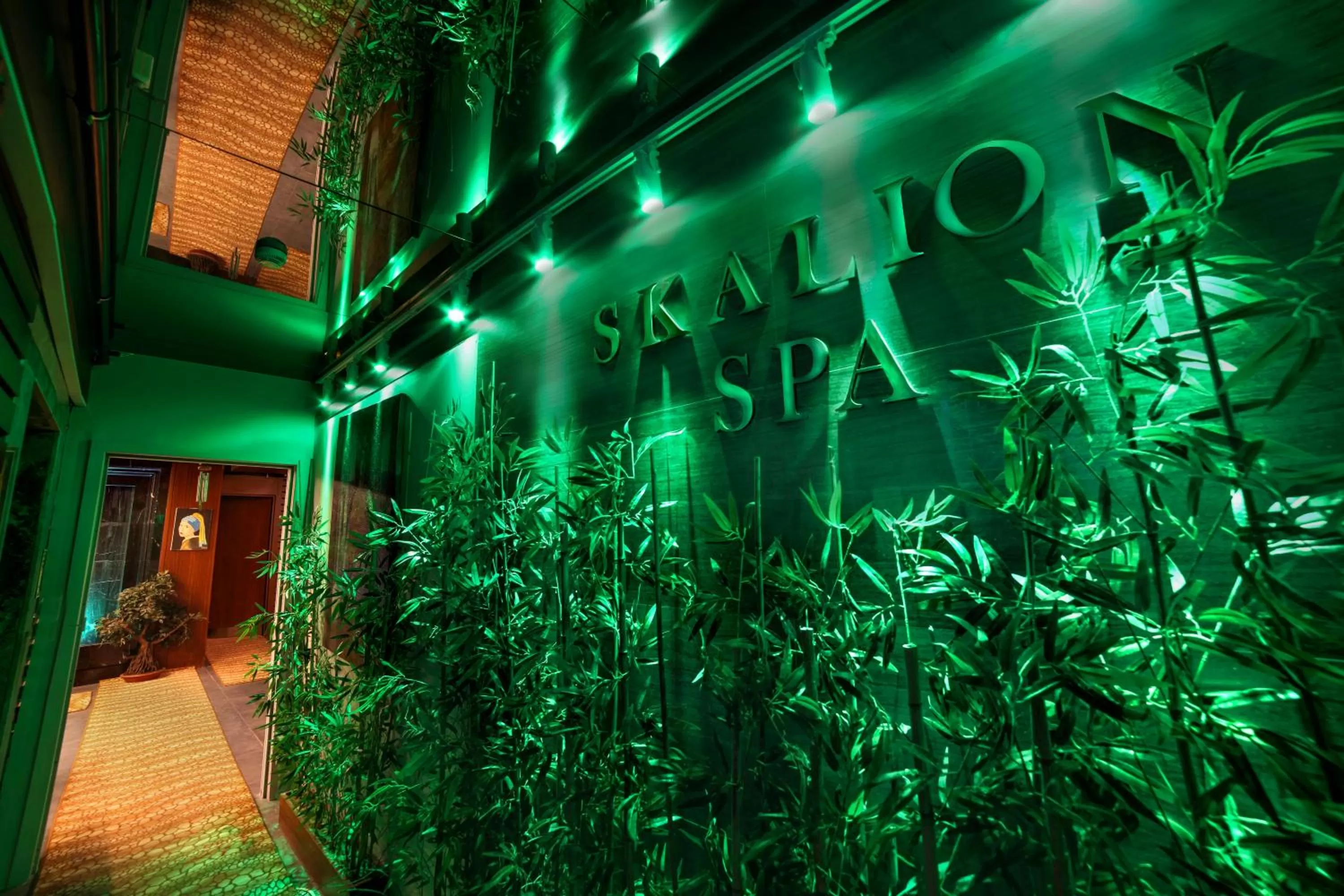 Property logo or sign in Skalion Hotel