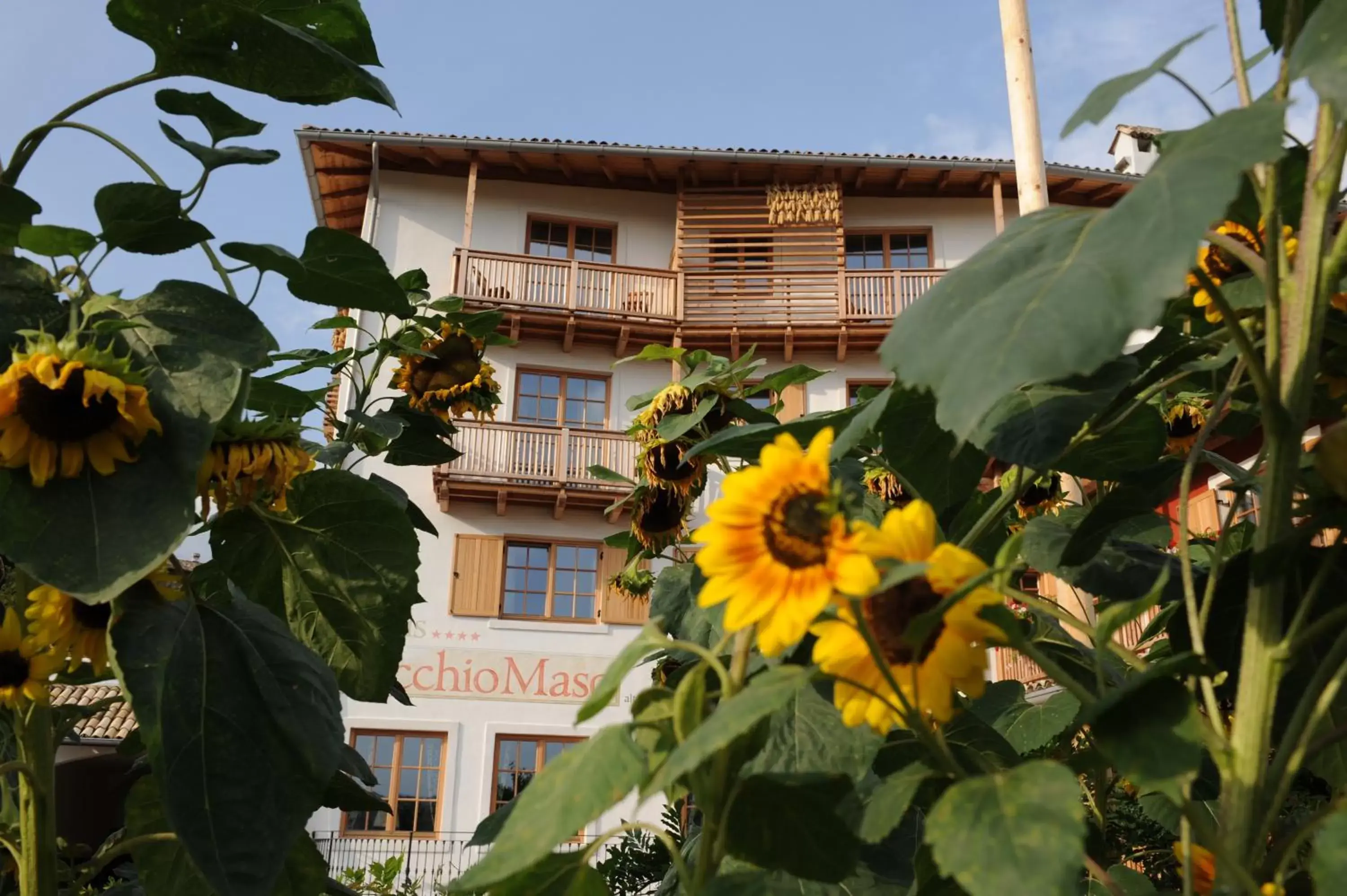 Property Building in Hotel Relais Vecchio Maso