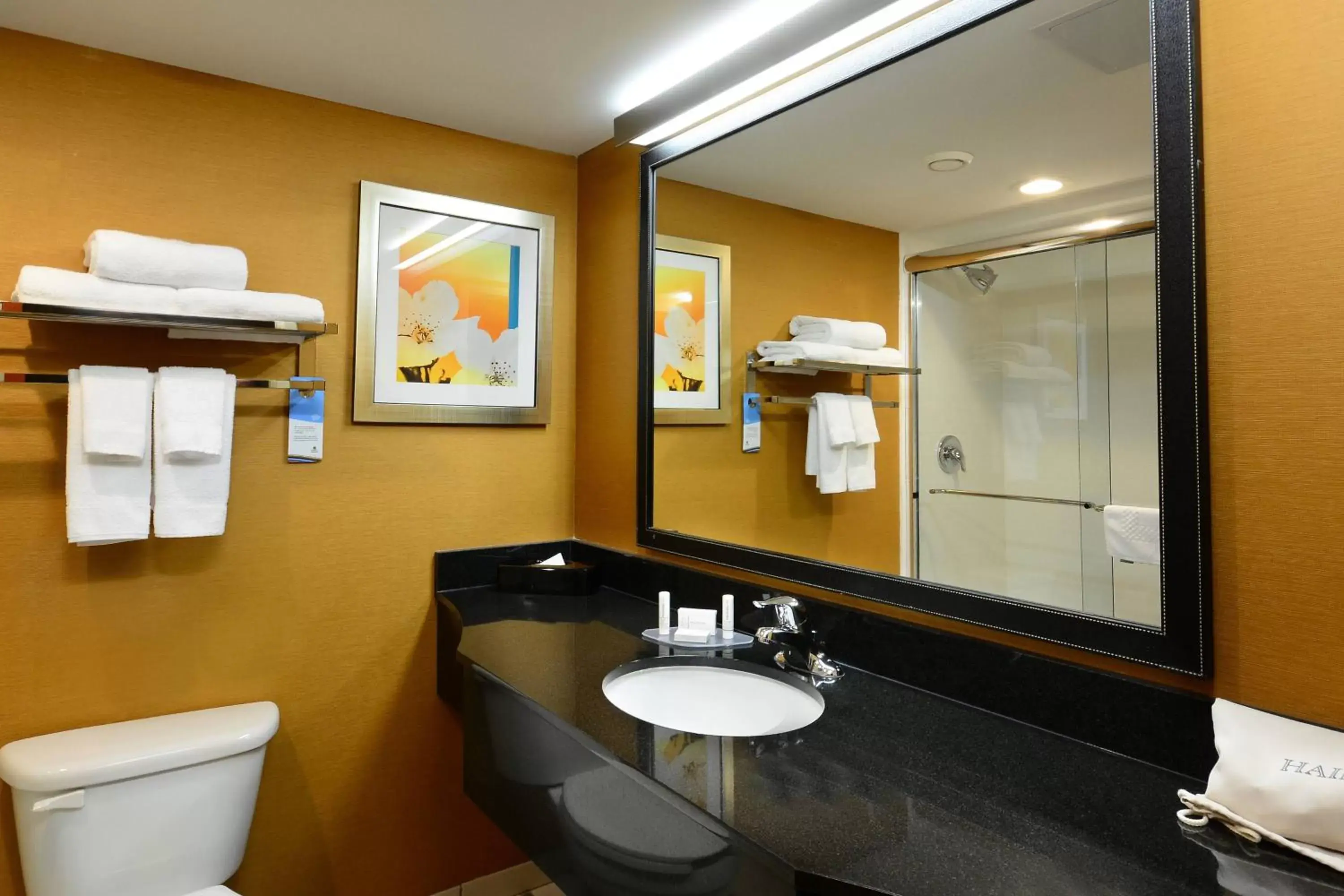 Bathroom in Fairfield Inn and Suites by Marriott Winston Salem/Hanes