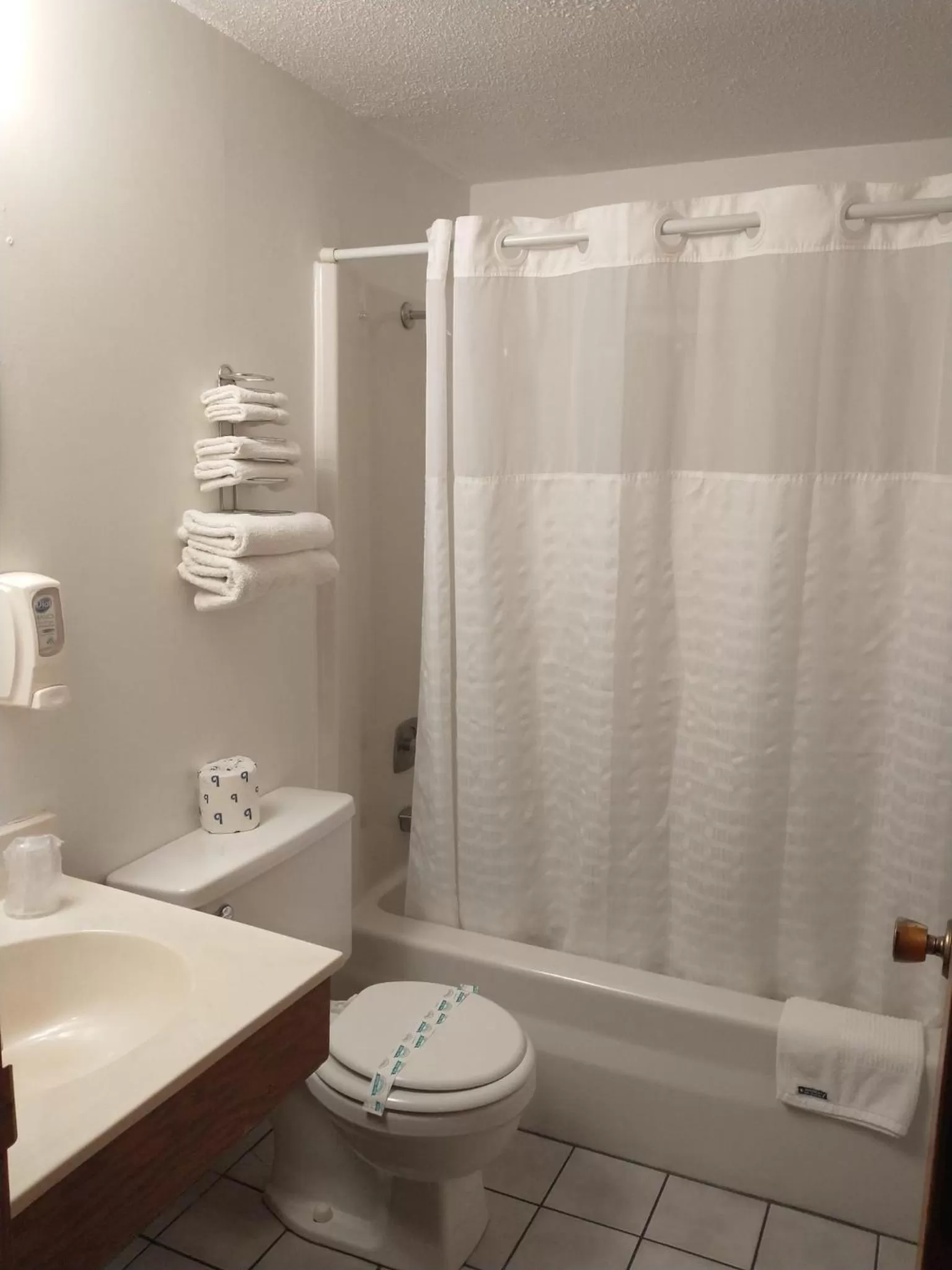 Bathroom in Sauk River Inn & Suites, a Travelodge by Wyndham