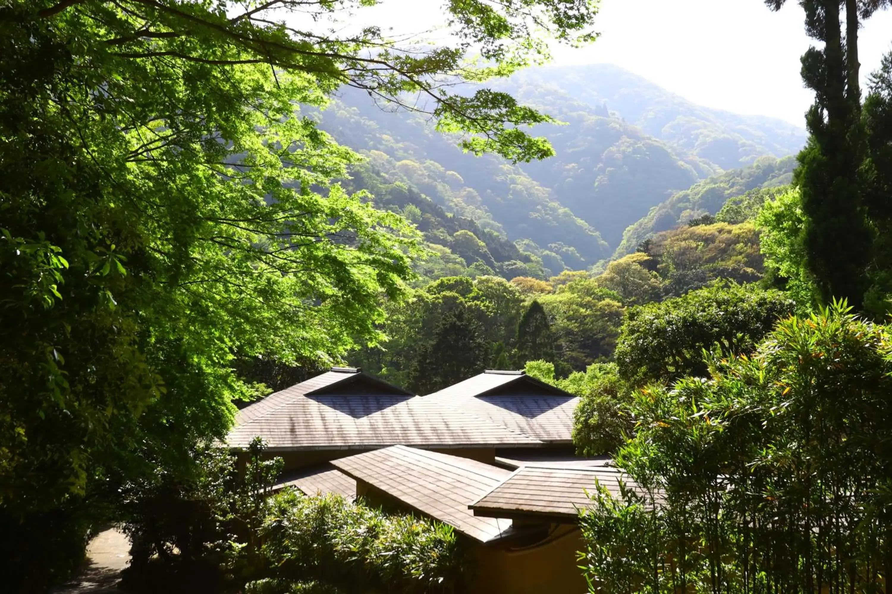 Property building, Mountain View in Tsubaki