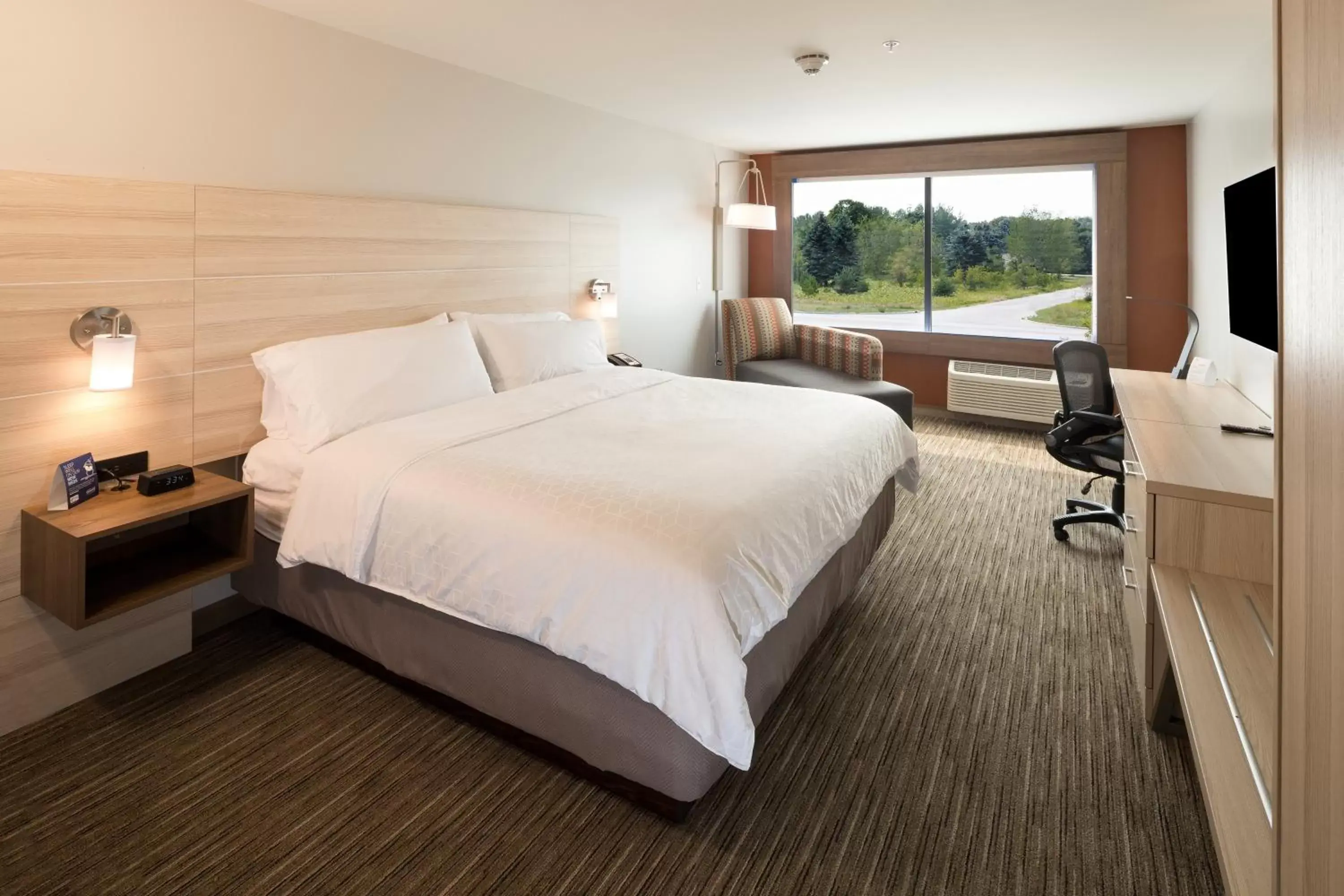 Photo of the whole room, Bed in Holiday Inn Express Hotel & Suites Bay City, an IHG Hotel