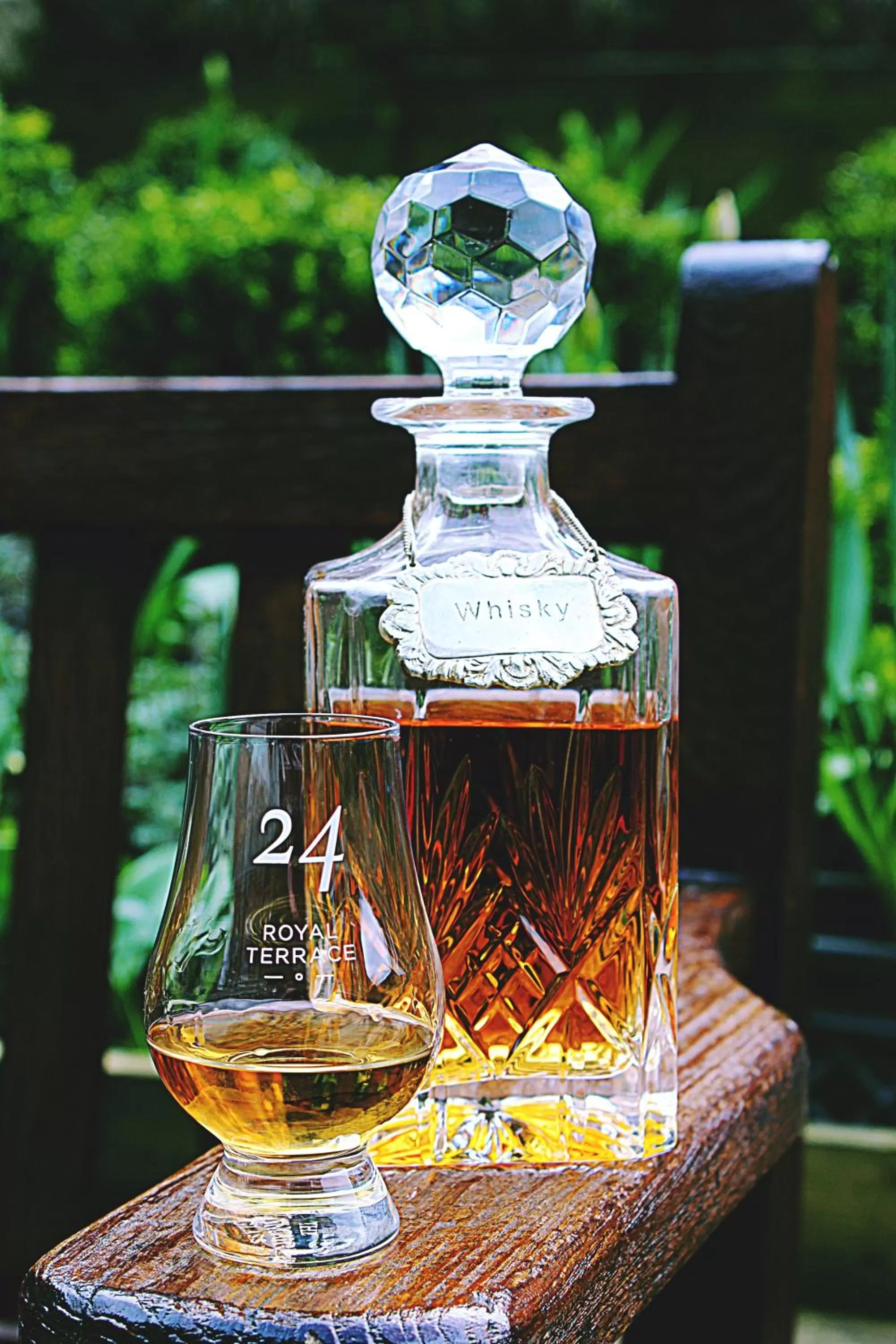 Garden in 24 Royal Terrace