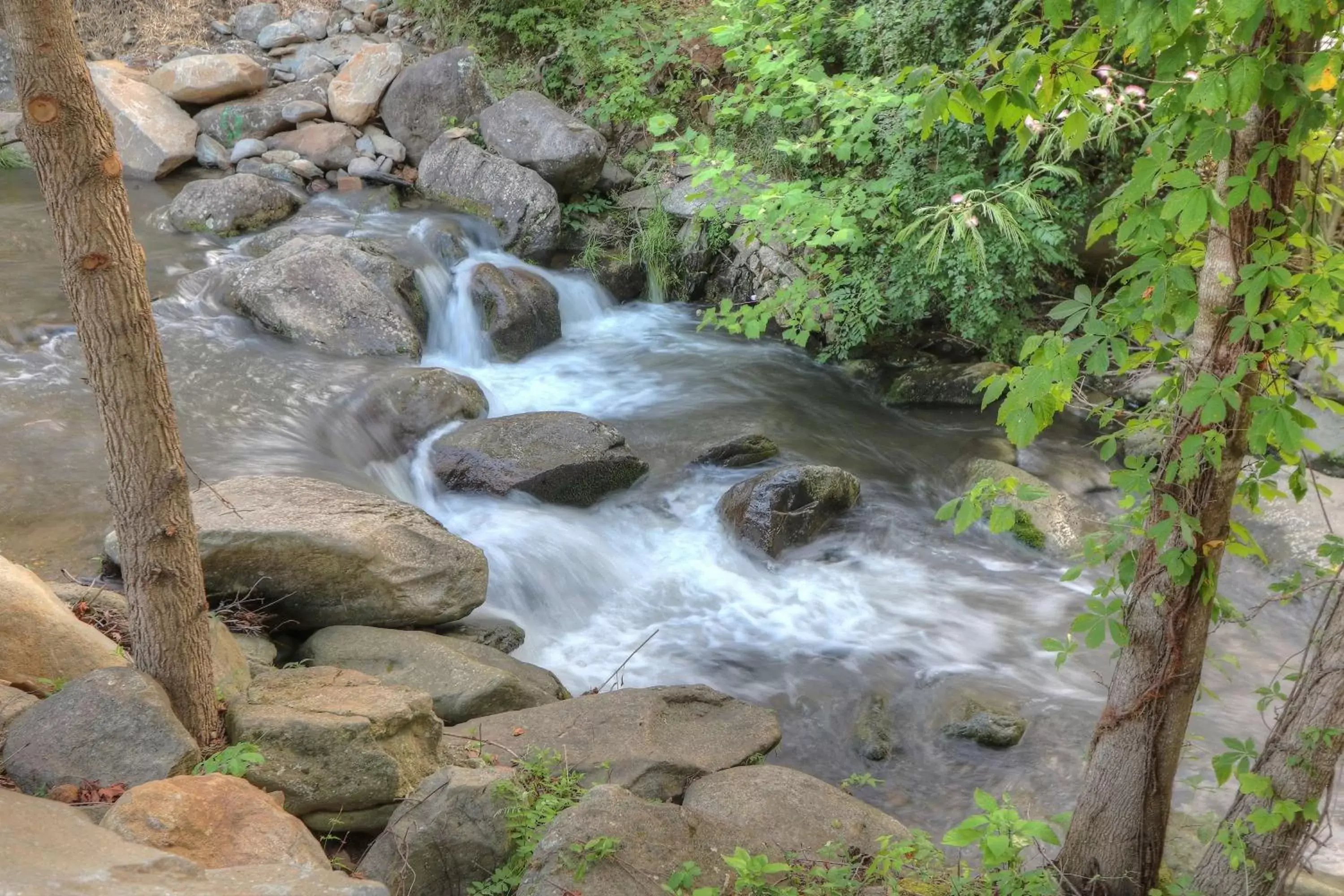 Property building in Hampton Inn Gatlinburg Historic Nature Trail, Tn