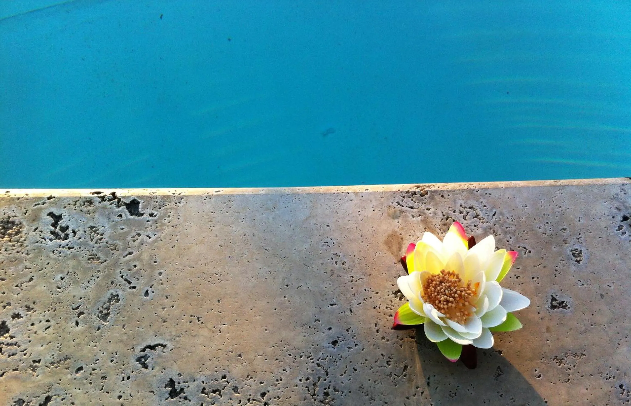 Swimming pool in Hotel Terranobile Metaresort