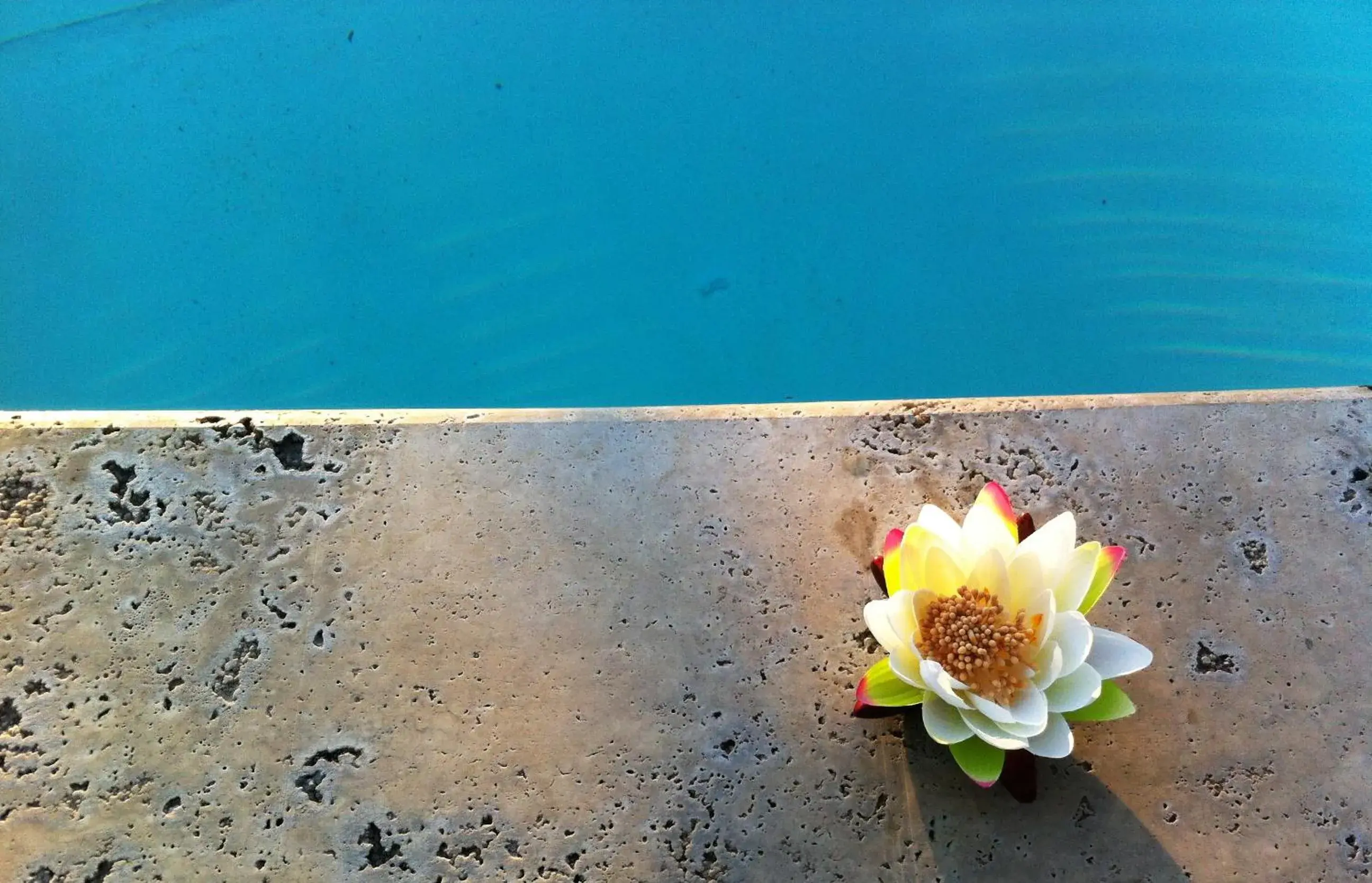 Swimming pool in Hotel Terranobile Metaresort