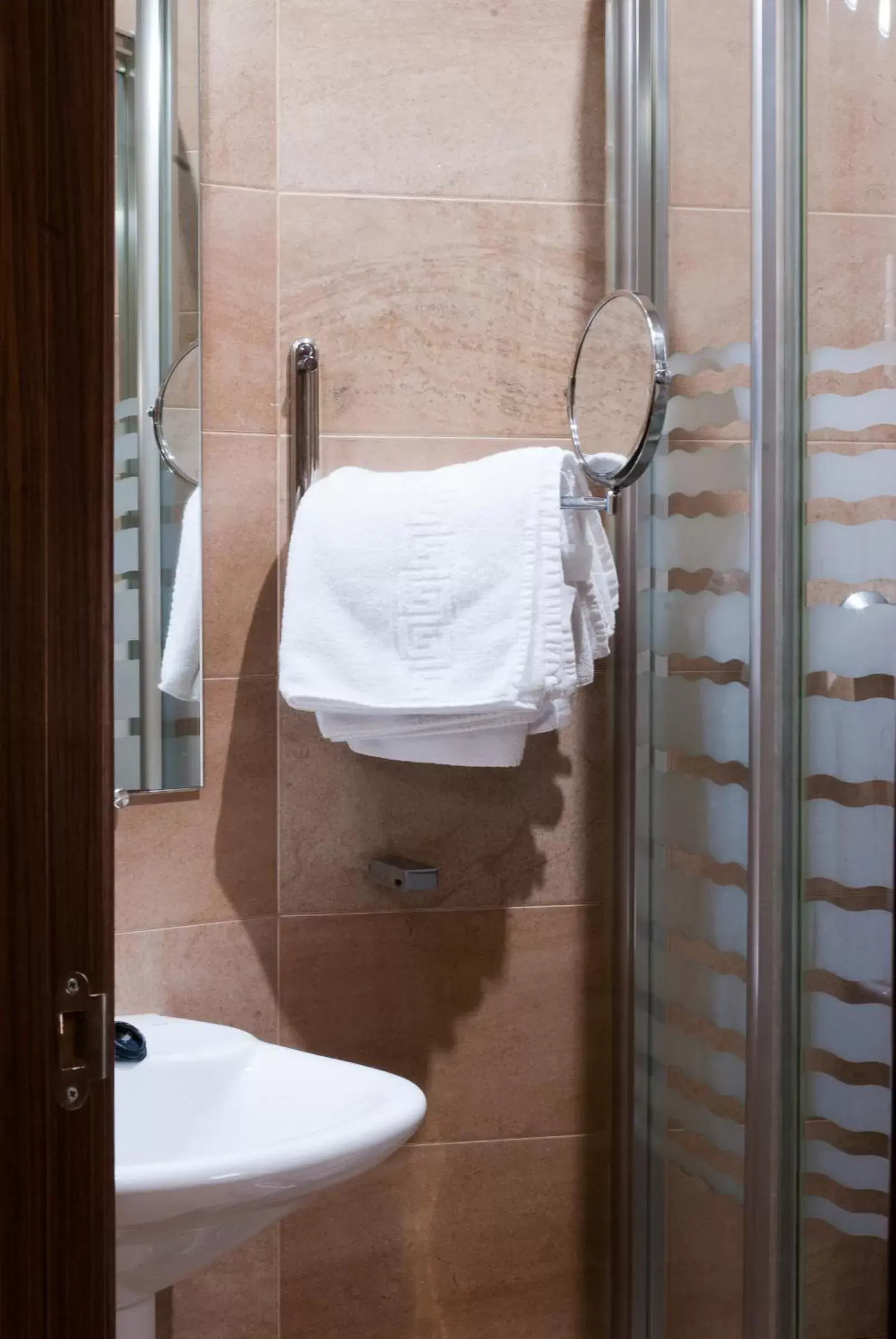 Decorative detail, Bathroom in Hotel Hidalgo Quijada