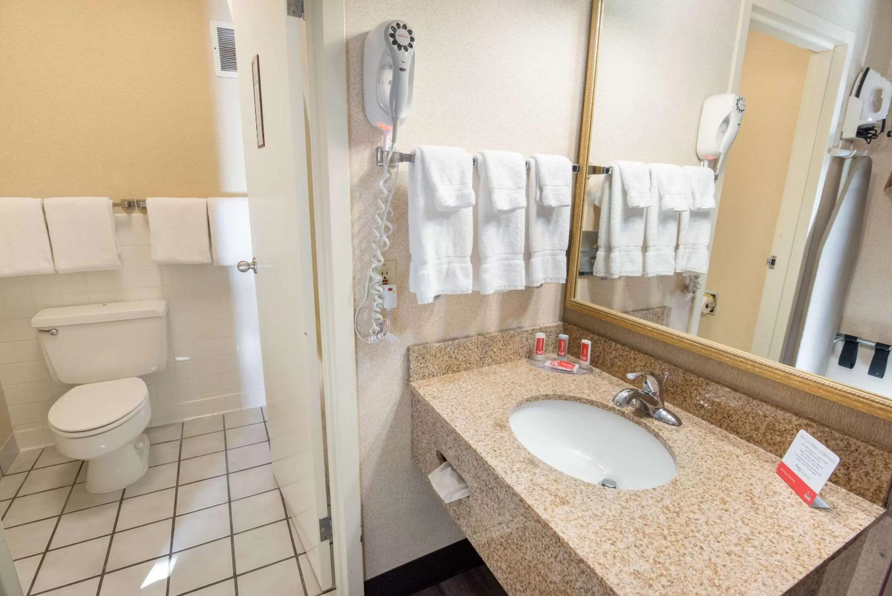 Bathroom in Econo Lodge Grand Junction North