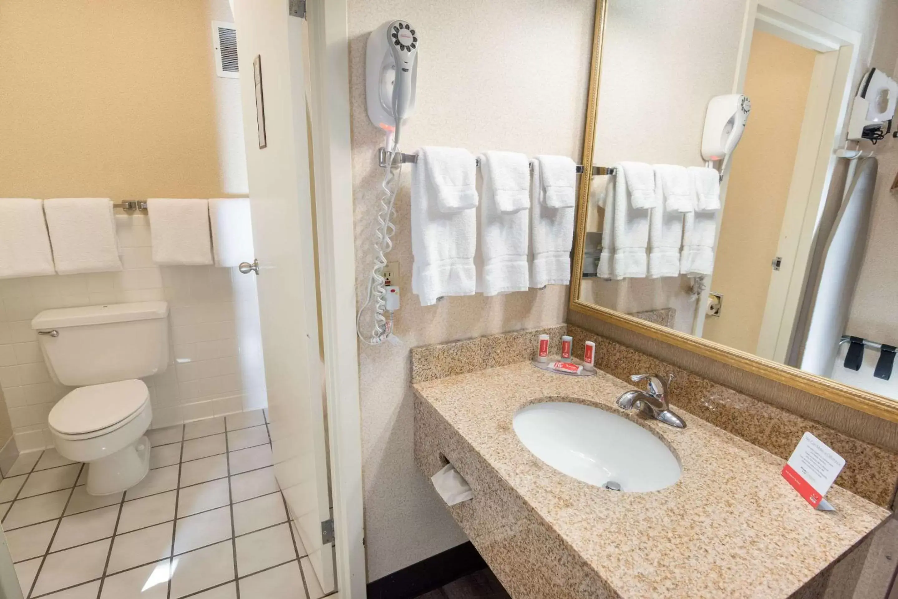Bathroom in Econo Lodge Grand Junction