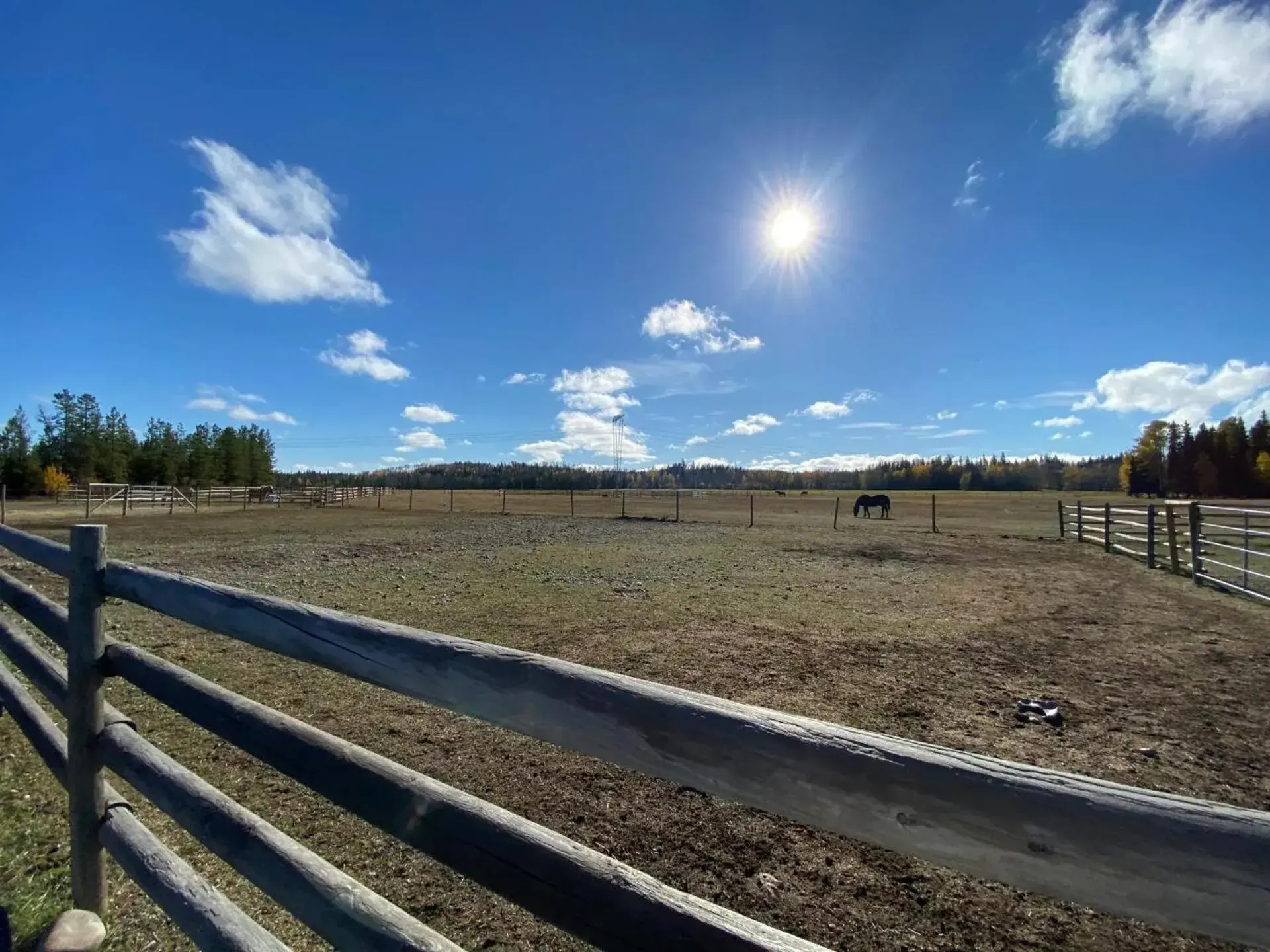 Natural landscape in Woodhouse Cottages And Ranch