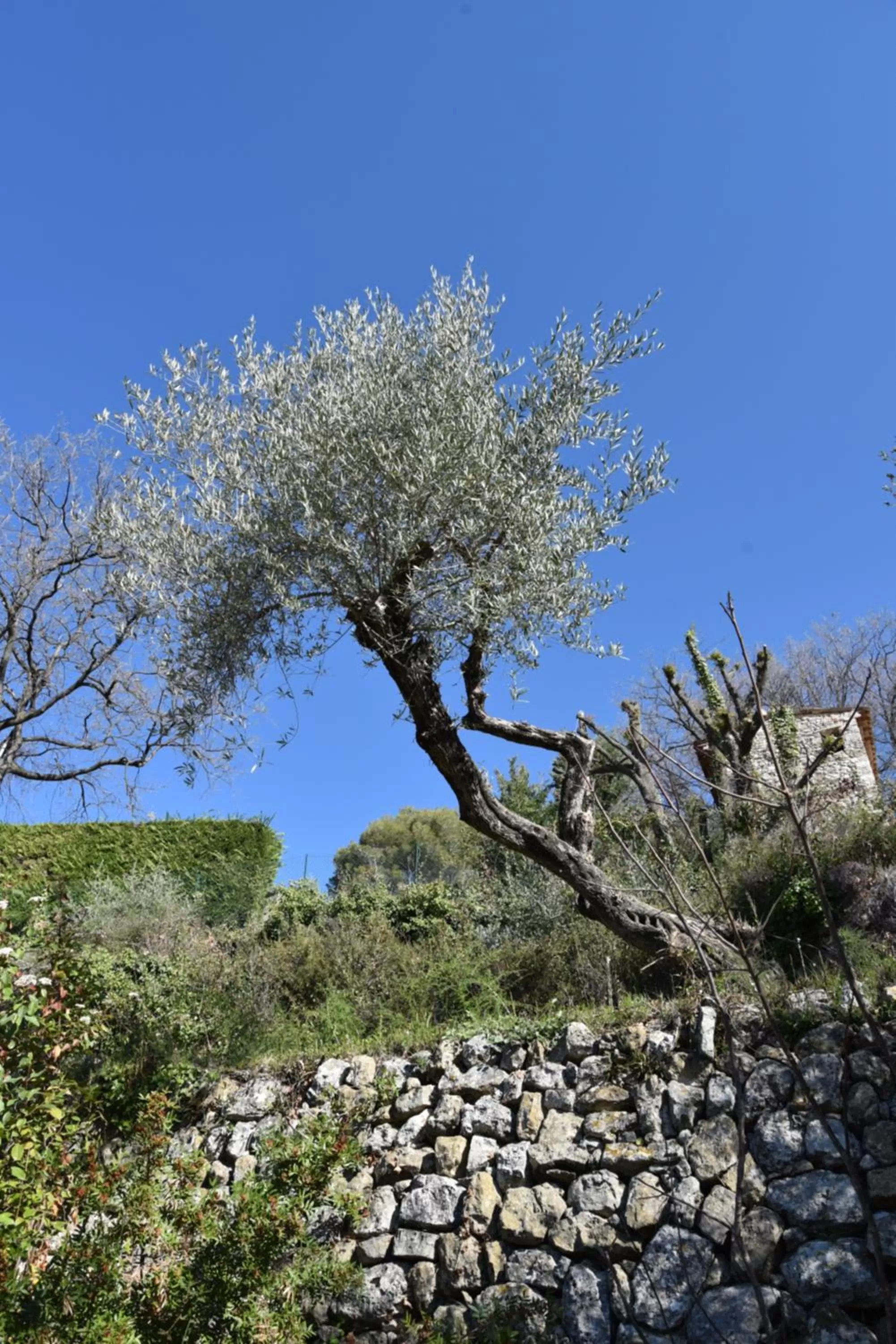 Natural Landscape in Chambre d'hôtes Cottes