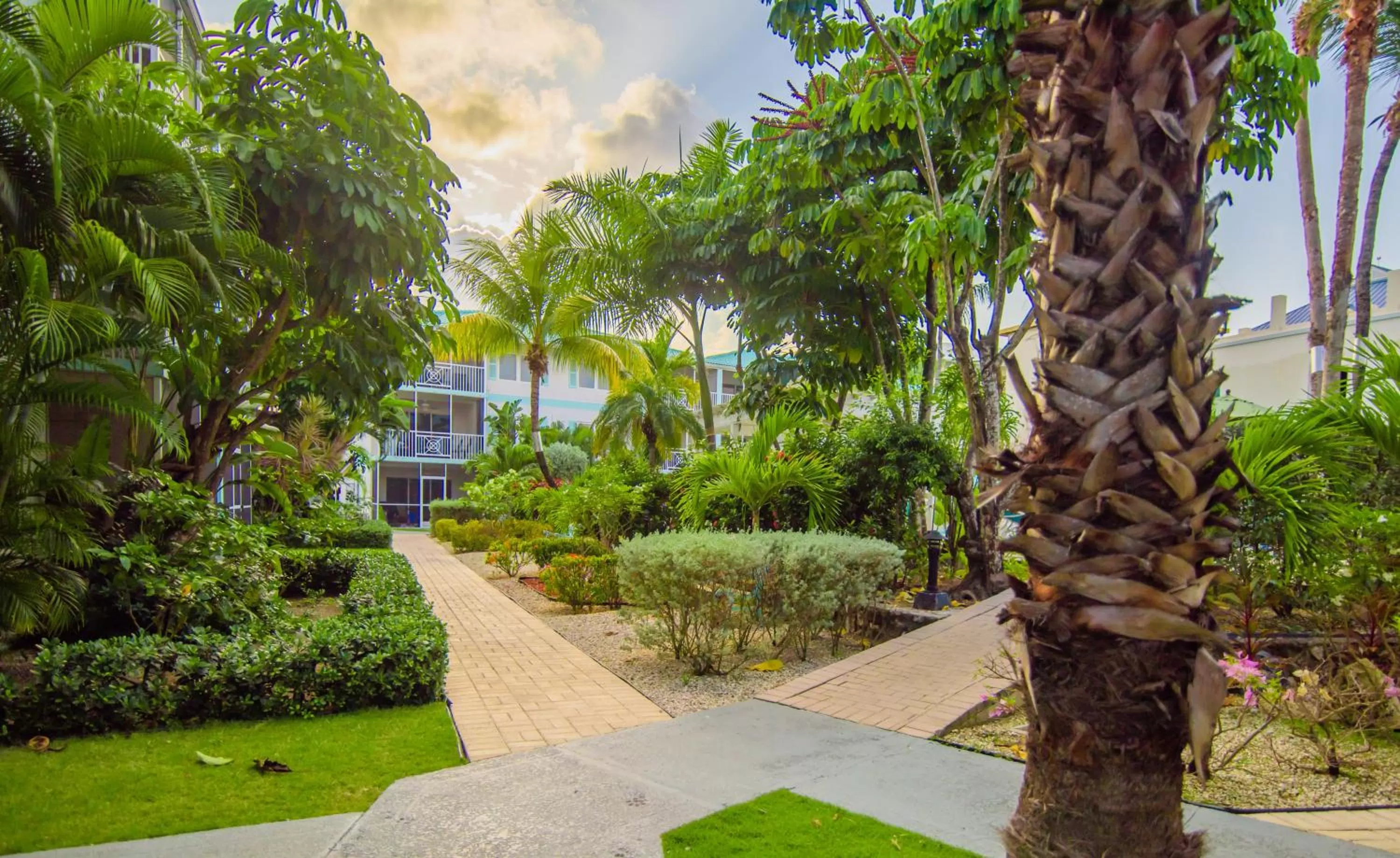 Garden in Seven Mile Beach Resort