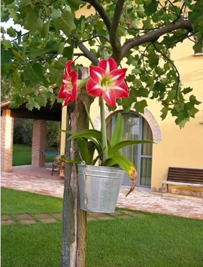 Garden in B&B Il Casolare Di Bonci