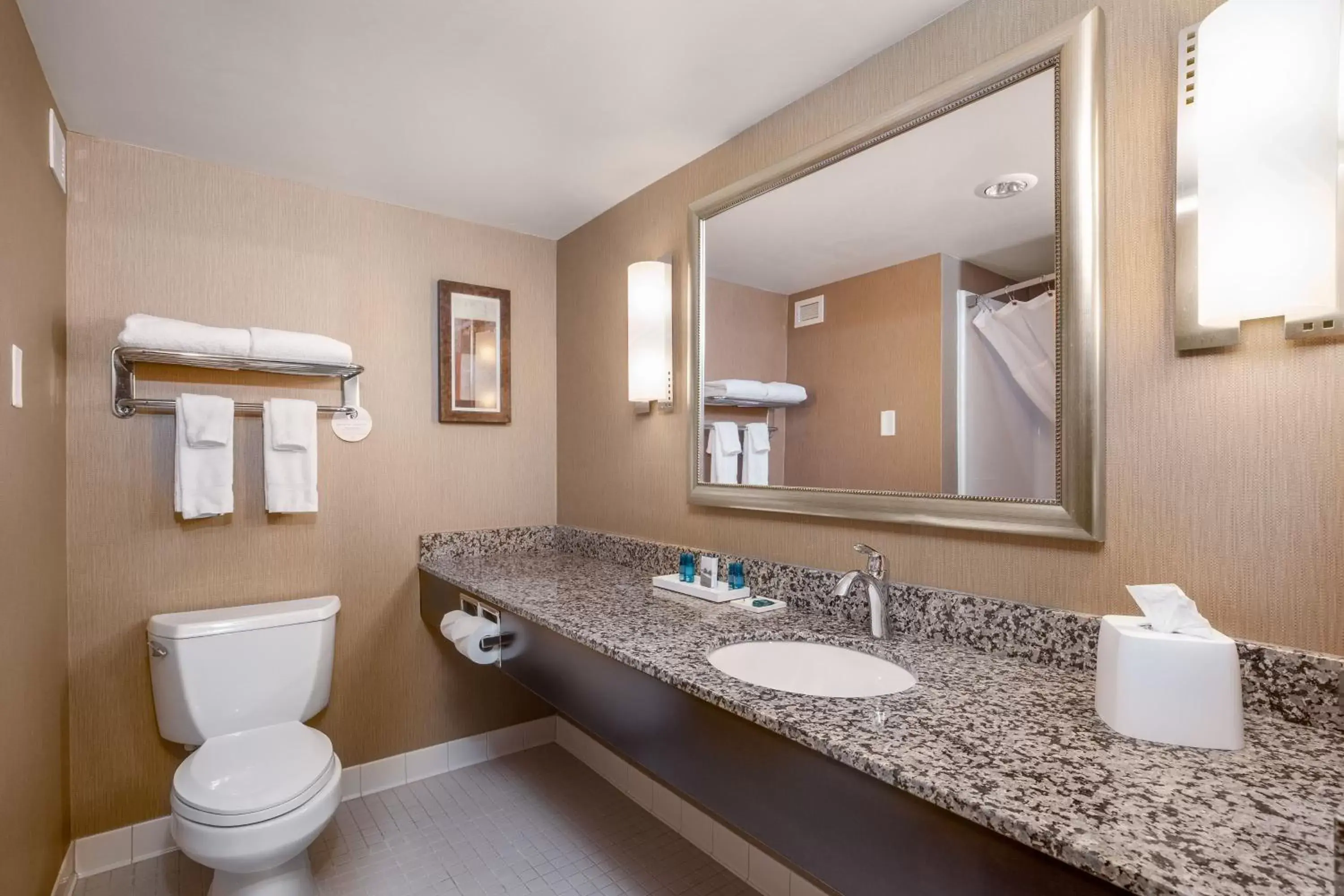 Bathroom in Delta Hotels by Marriott Fargo