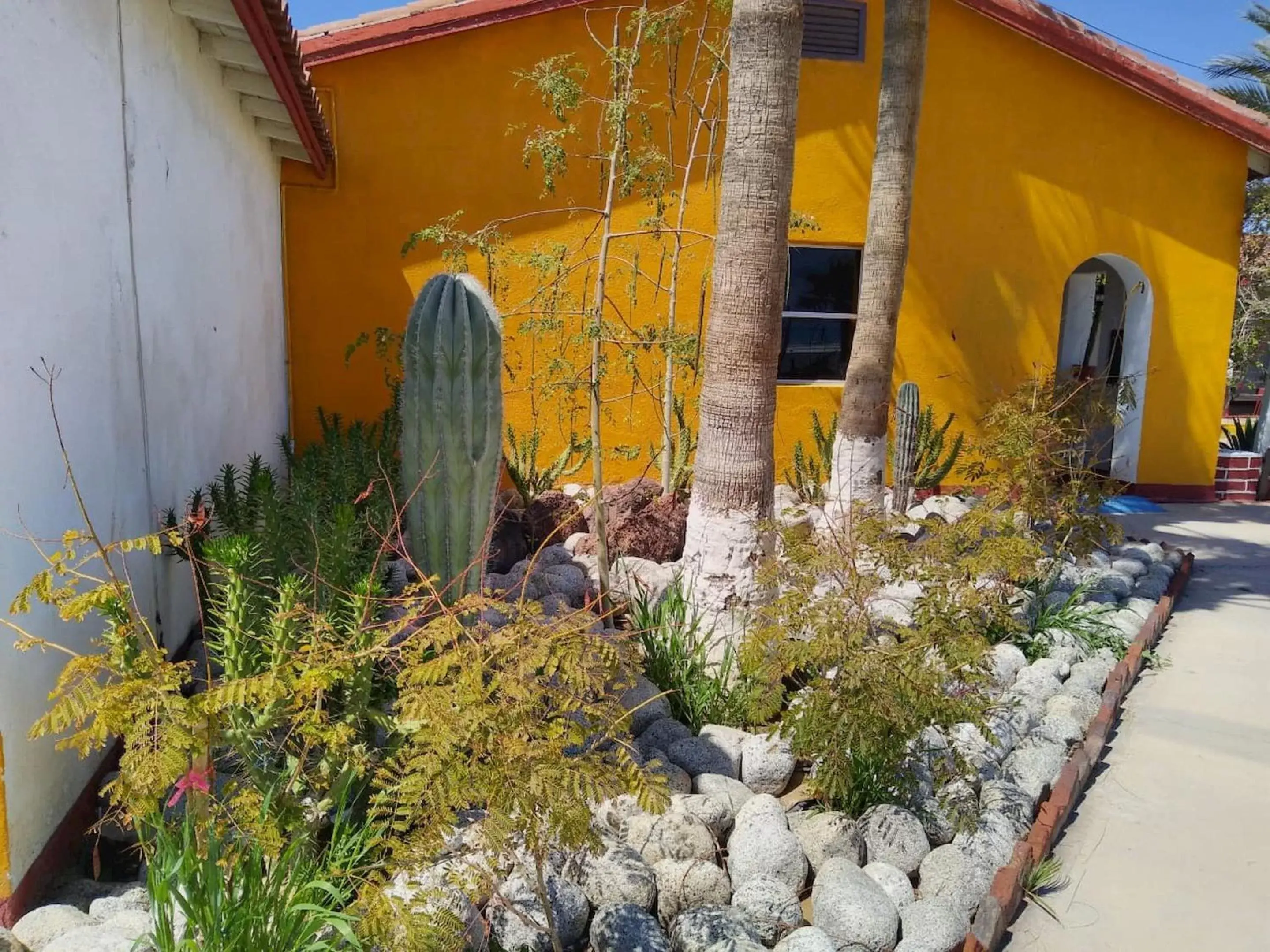 Garden in Hotel Las Palmas