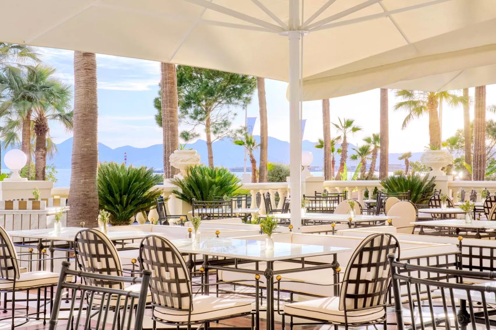 Restaurant/places to eat in Carlton Cannes, a Regent Hotel