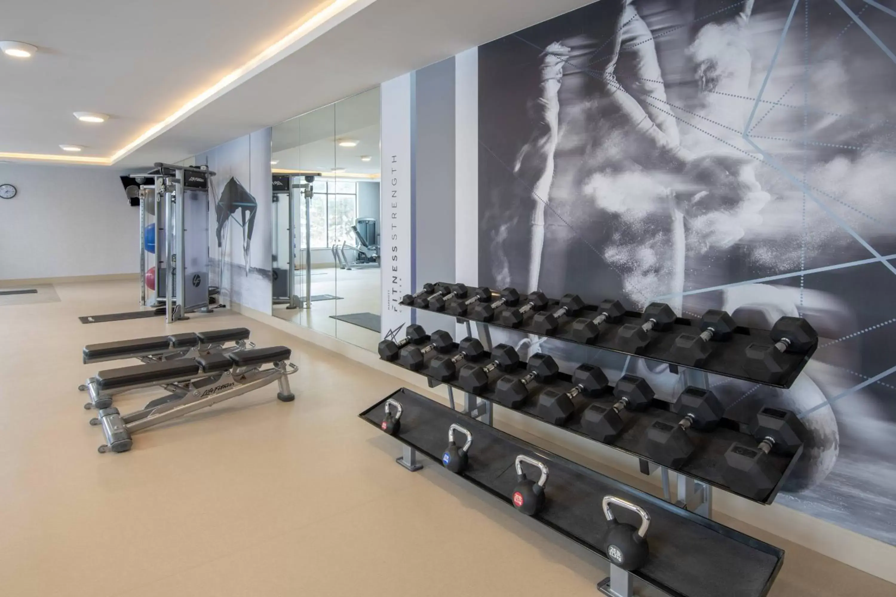 Fitness centre/facilities, Fitness Center/Facilities in Madison Marriott West