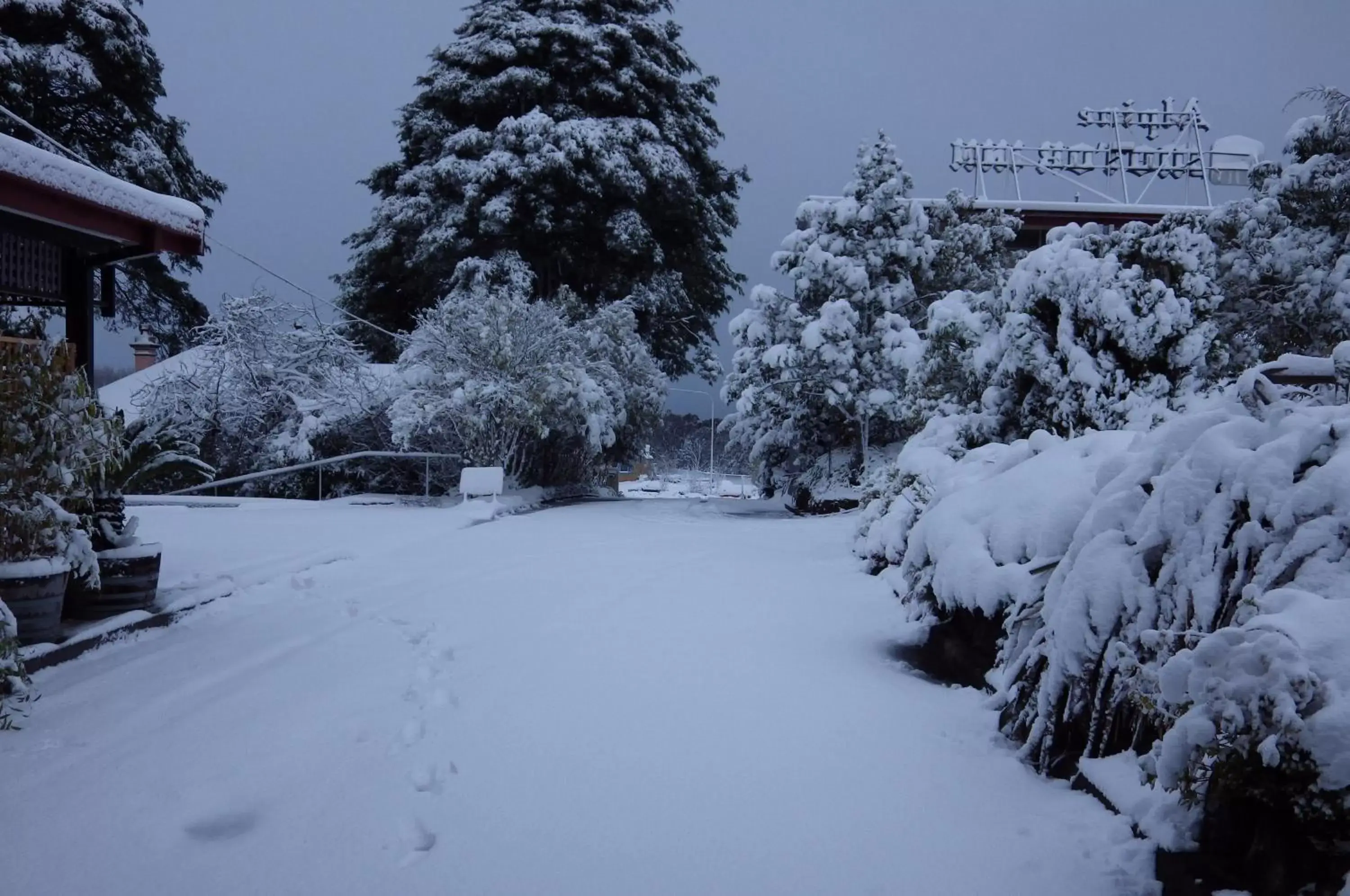 Garden view, Winter in Alpine Motor Inn