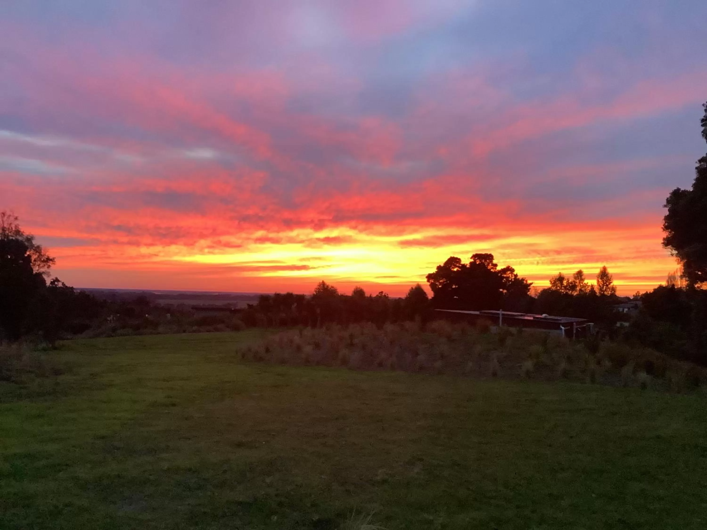 Natural landscape in Ngā Whare Mānatu