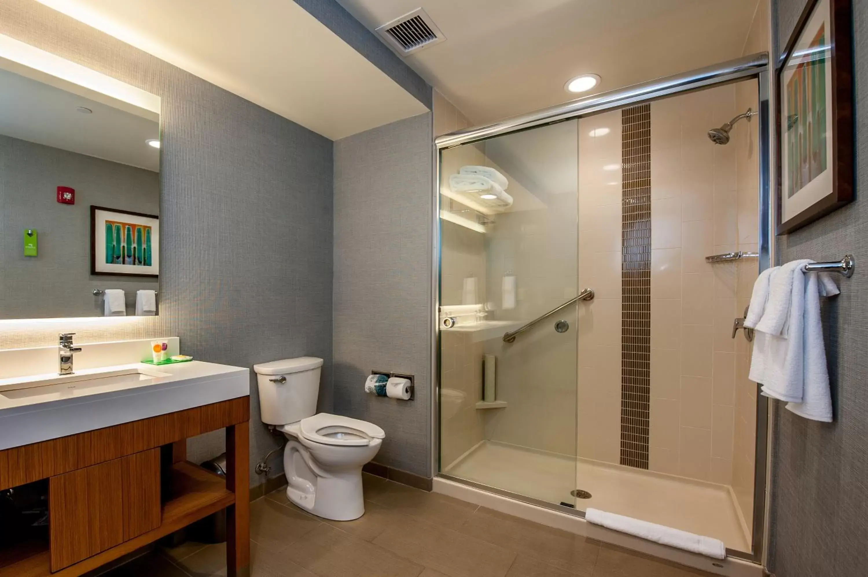 One-Bedroom Suite with Roll-In Shower - Disability Access in Hyatt Place Bowling Green One-Bedroom Suite with Roll-In Shower - Disability Access in Hyatt Place Bowling Green