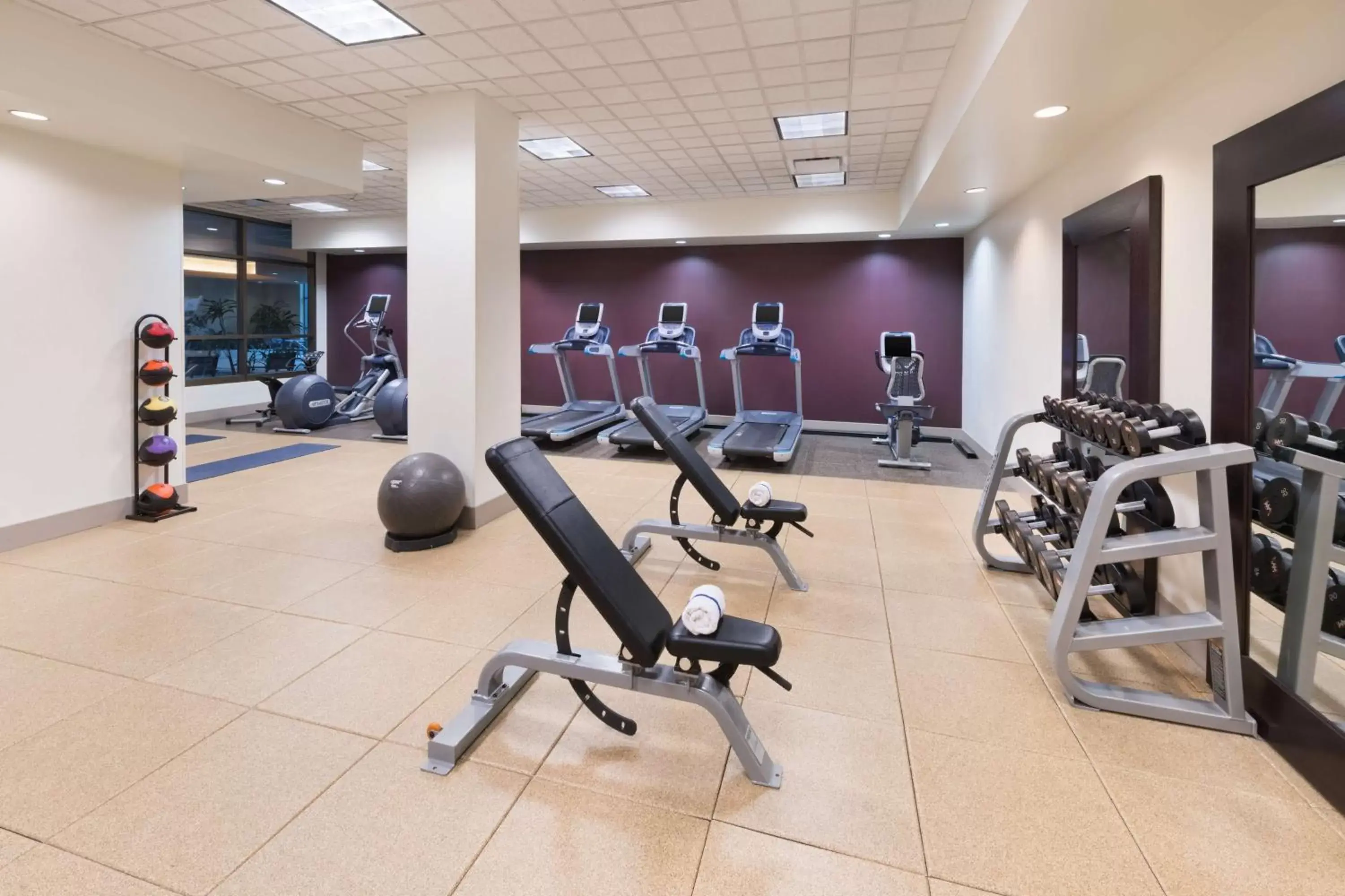 Fitness centre/facilities, Fitness Center/Facilities in Embassy Suites Murfreesboro - Hotel & Conference Center