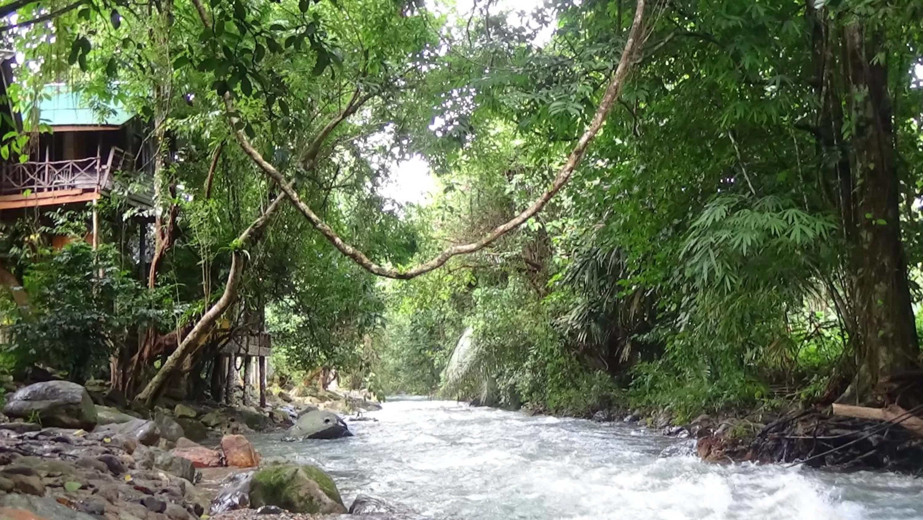 River view in Tree Tops River Huts