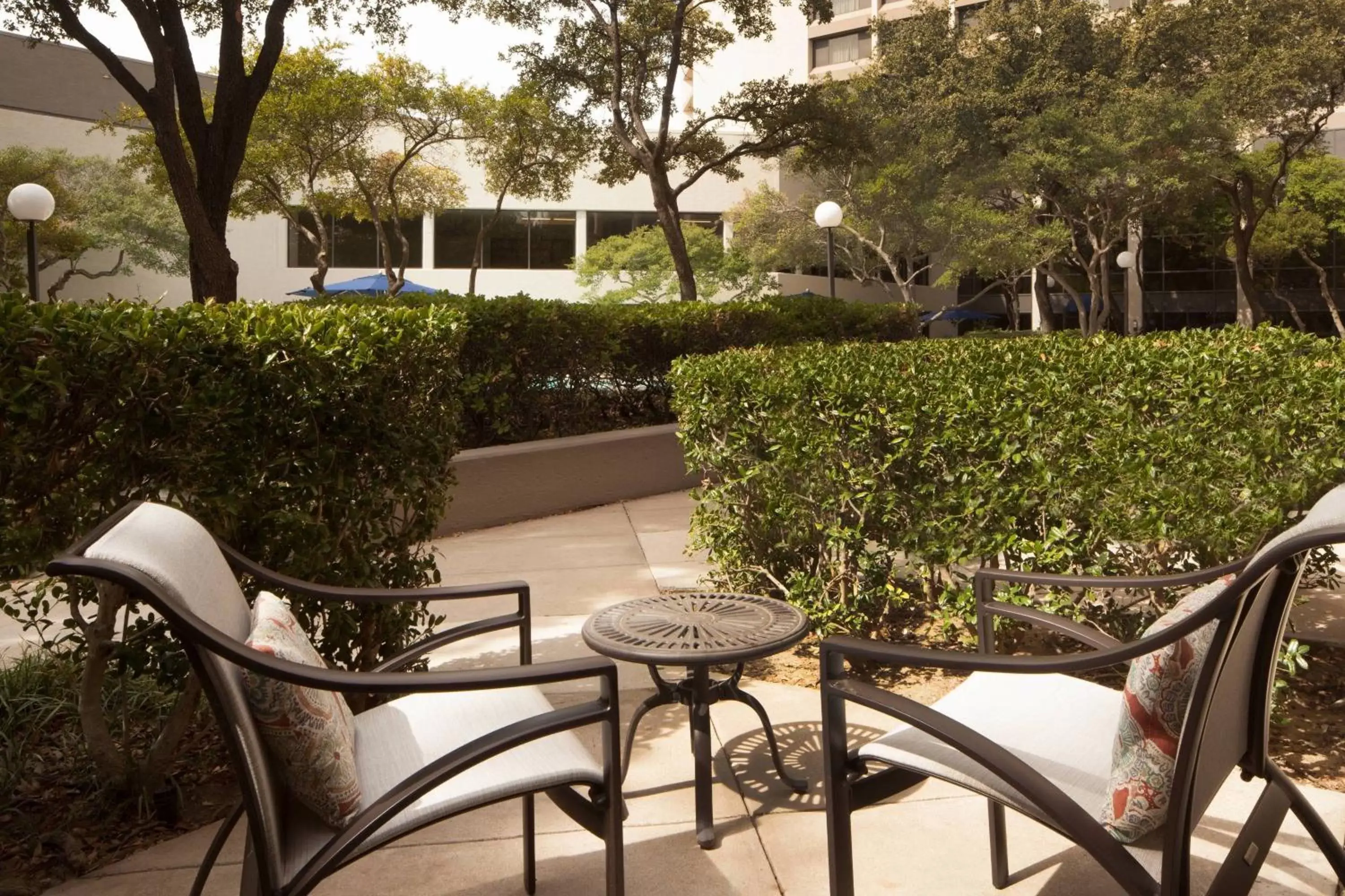 Photo of the whole room in Dallas/Fort Worth Airport Marriott