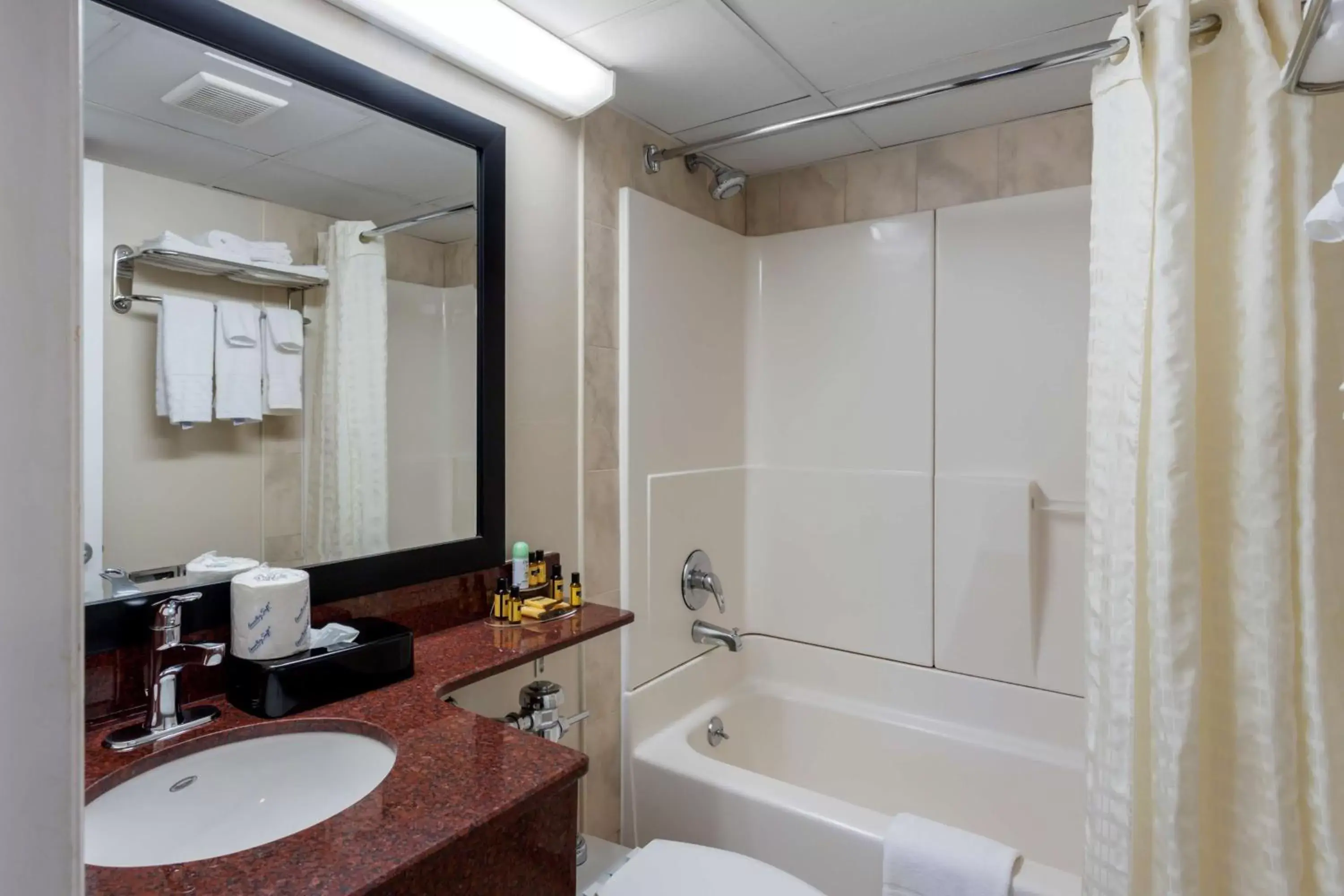 Bathroom in Best Western Plus Brooklyn Bay Hotel