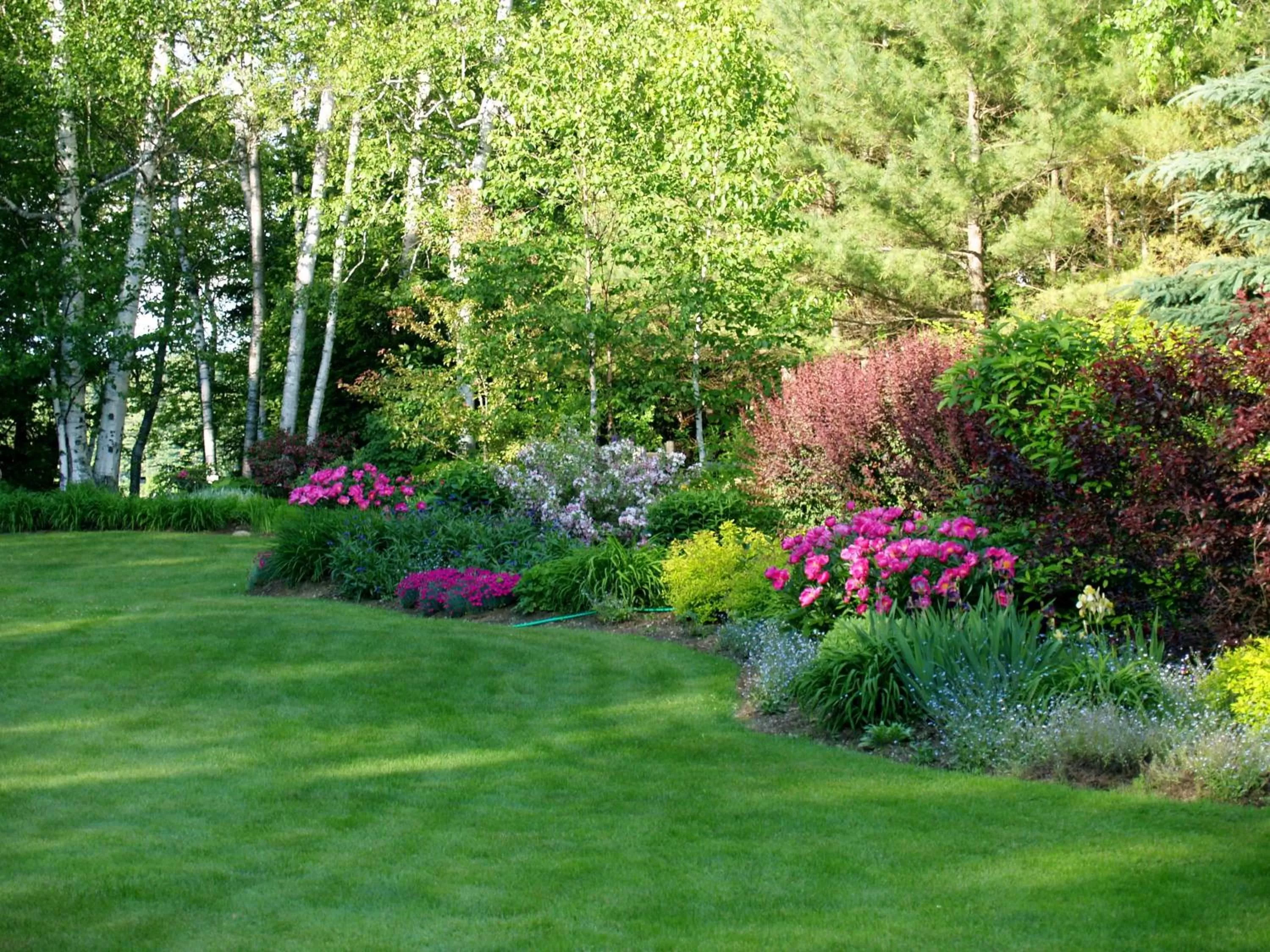 Spring in Wilson Lake Inn