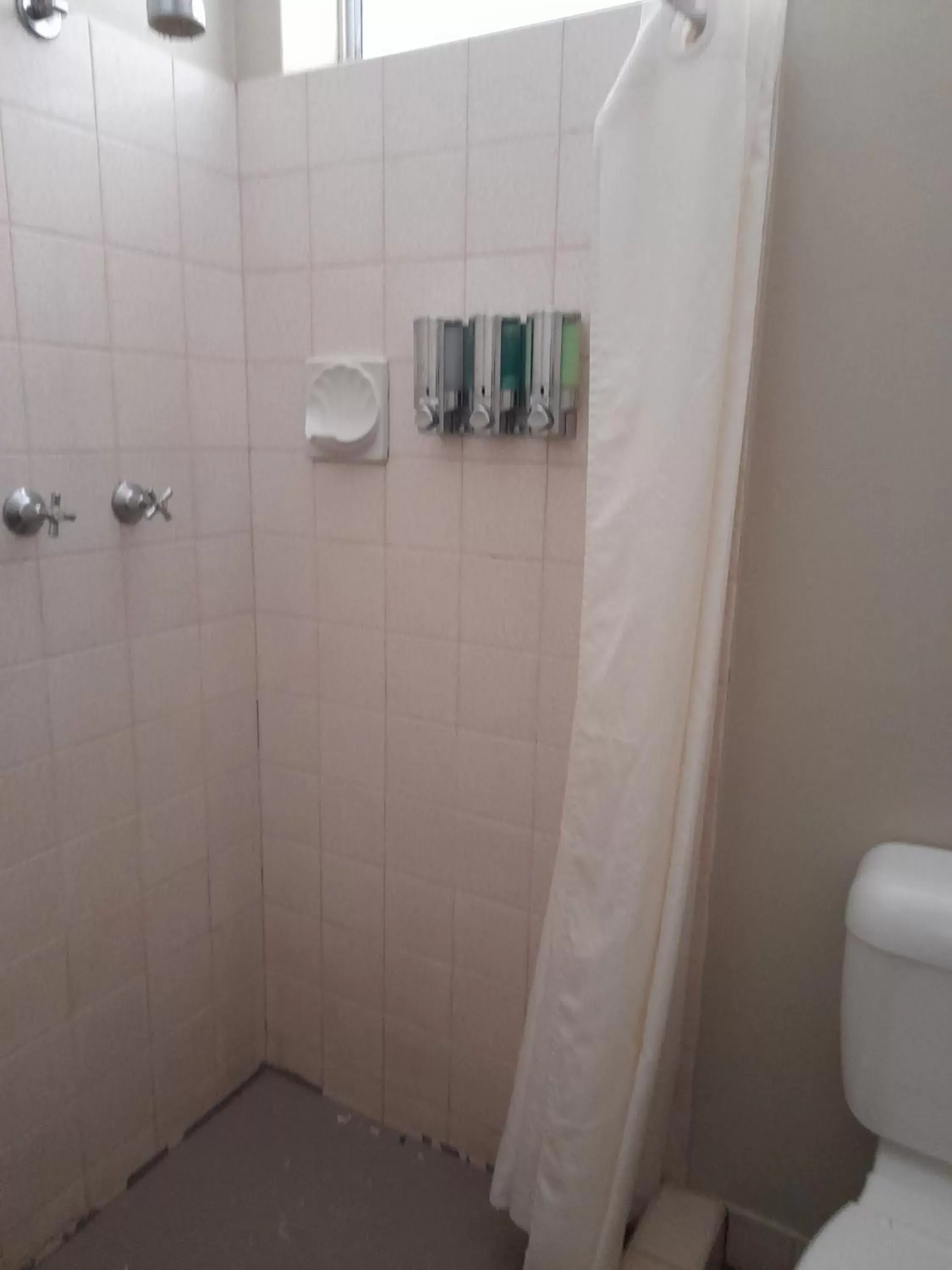 Shower, Bathroom in Aromet Motor Inn