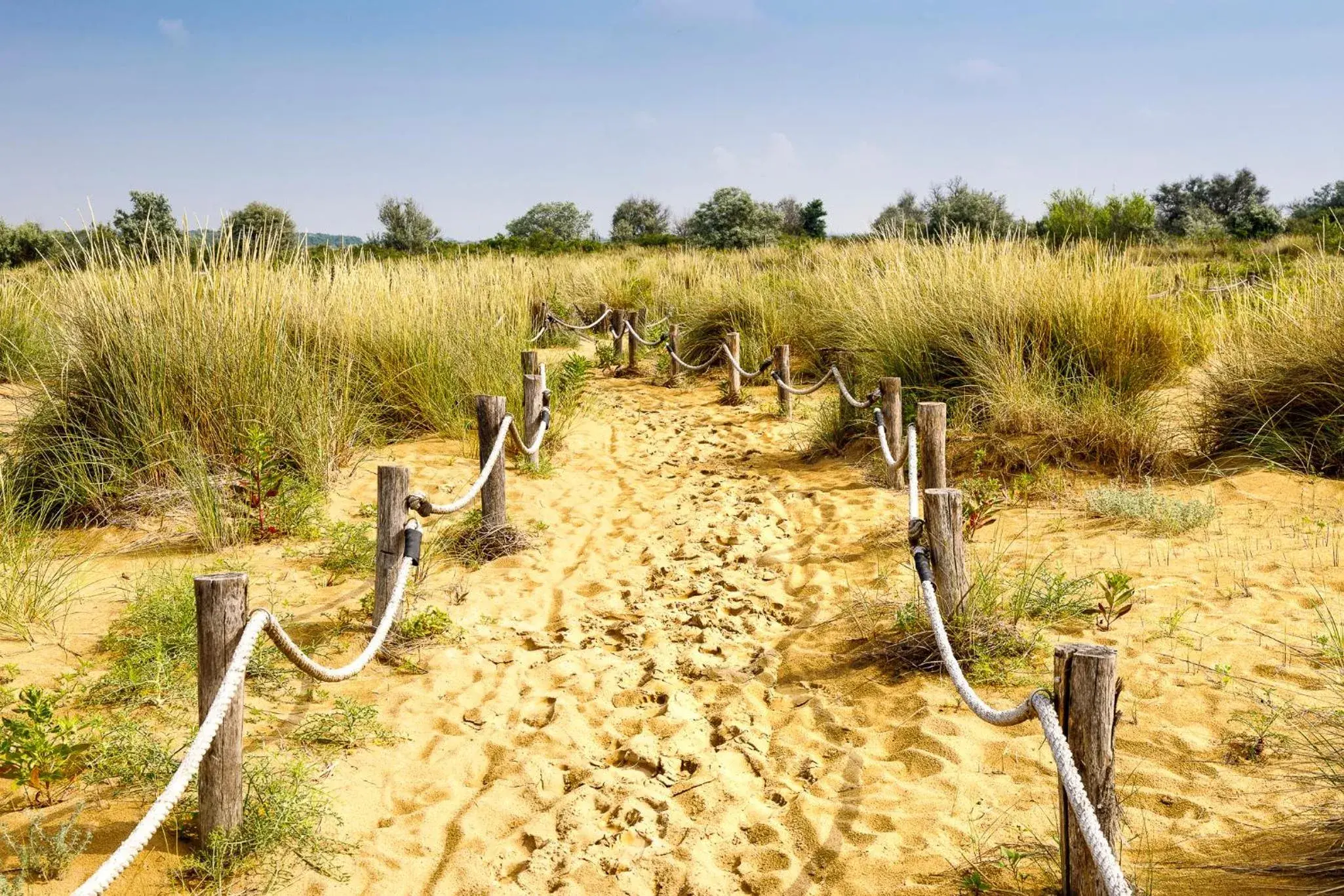 Beach in Lino delle Fate Eco Resort