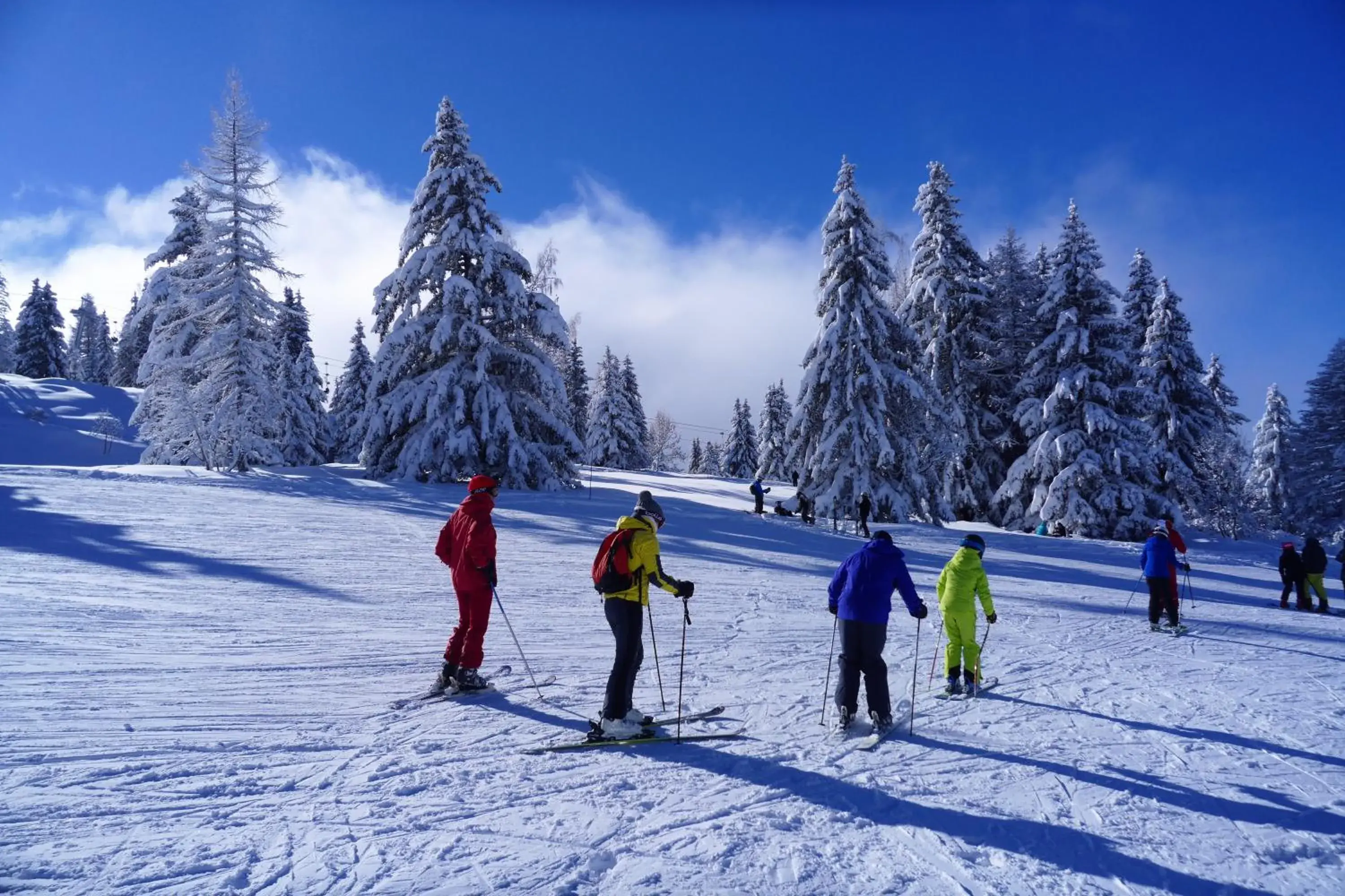 Skiing in Chalet Hôtel du Bois