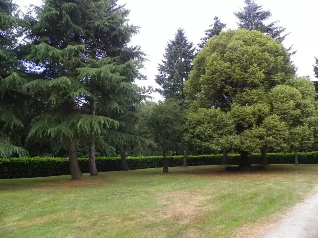 Garden in Manoir de Saint-Fiacre