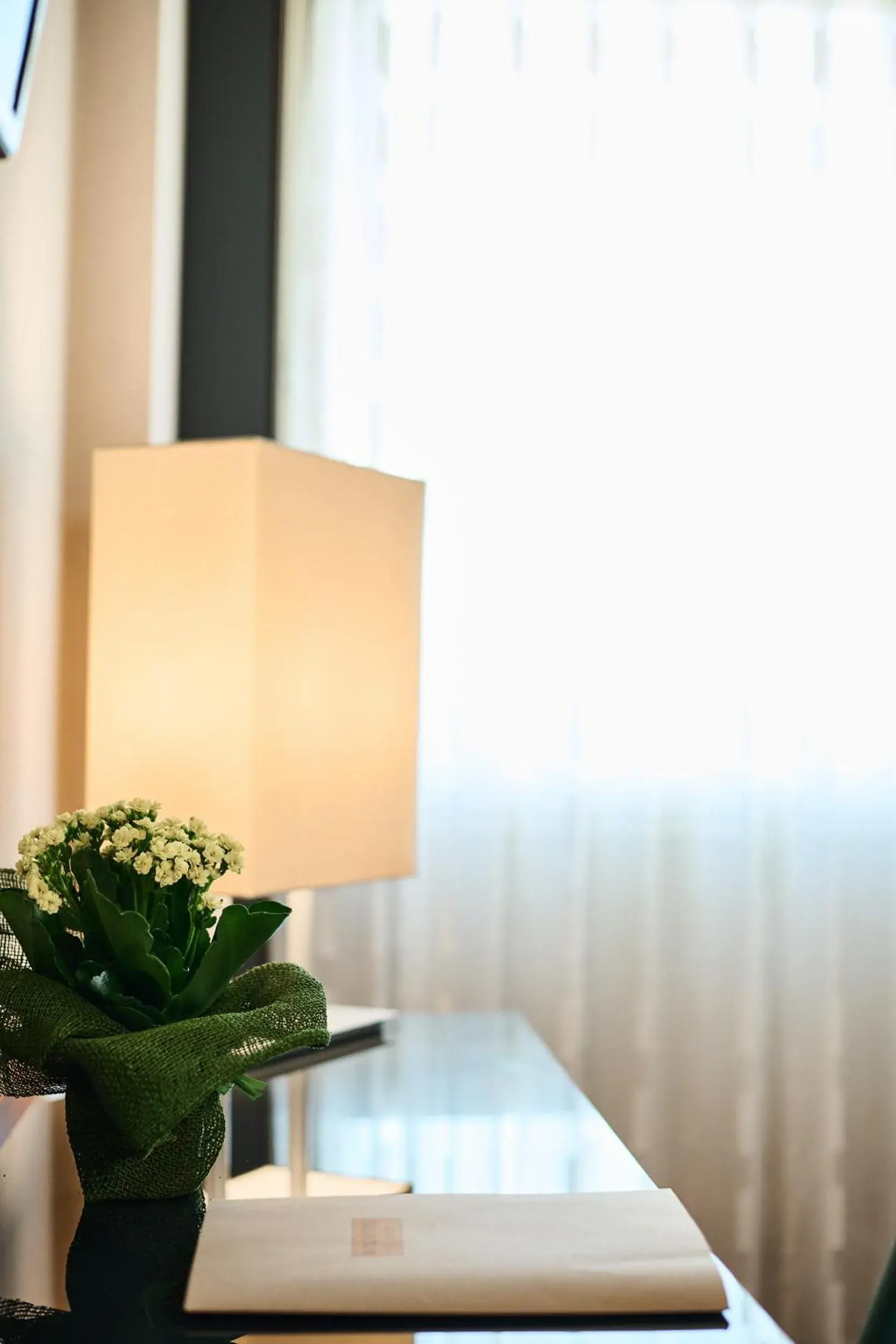 Hotel Da Vinci Hotel Da Vinci