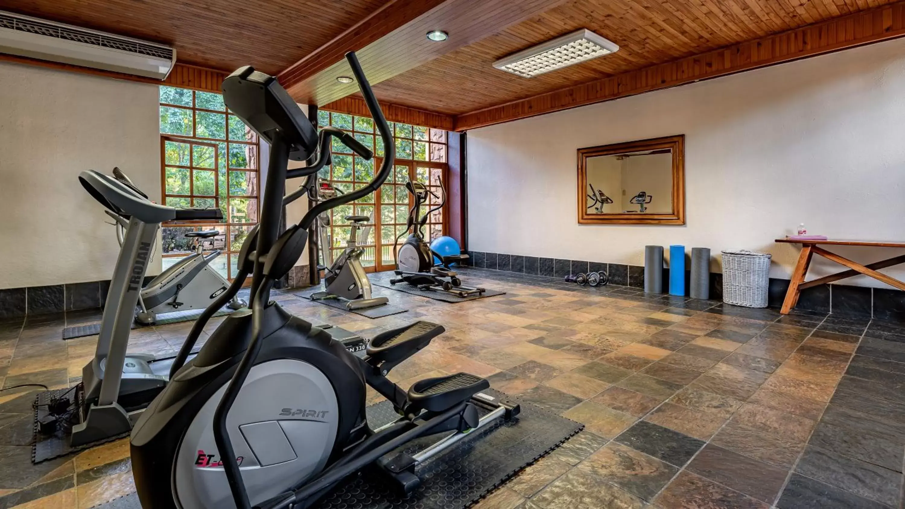 Fitness centre/facilities, Fitness Center/Facilities in African Sky Pine Lake Inn