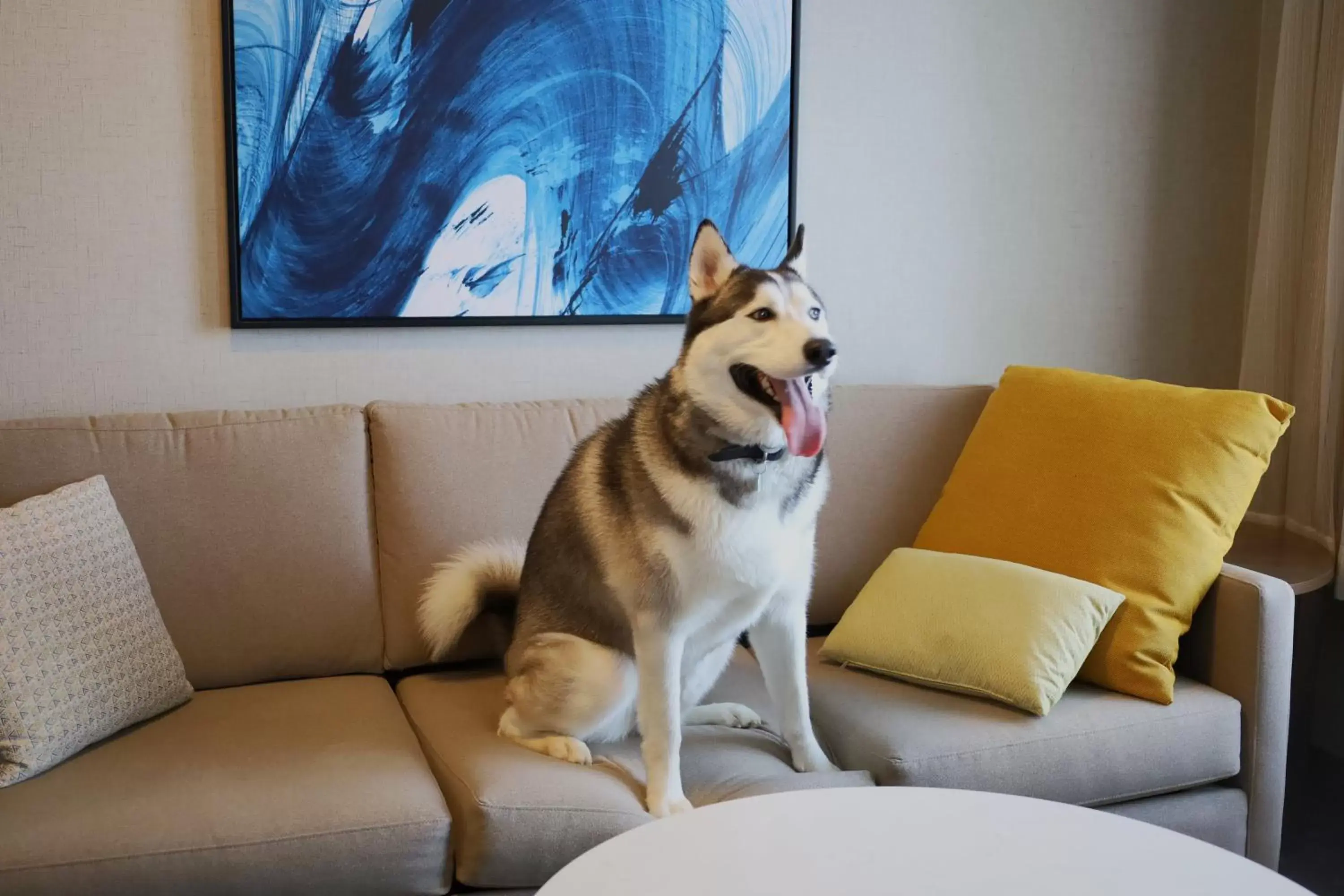 Photo of the whole room, Pets in Staybridge Suites - Waterloo - St. Jacobs Area