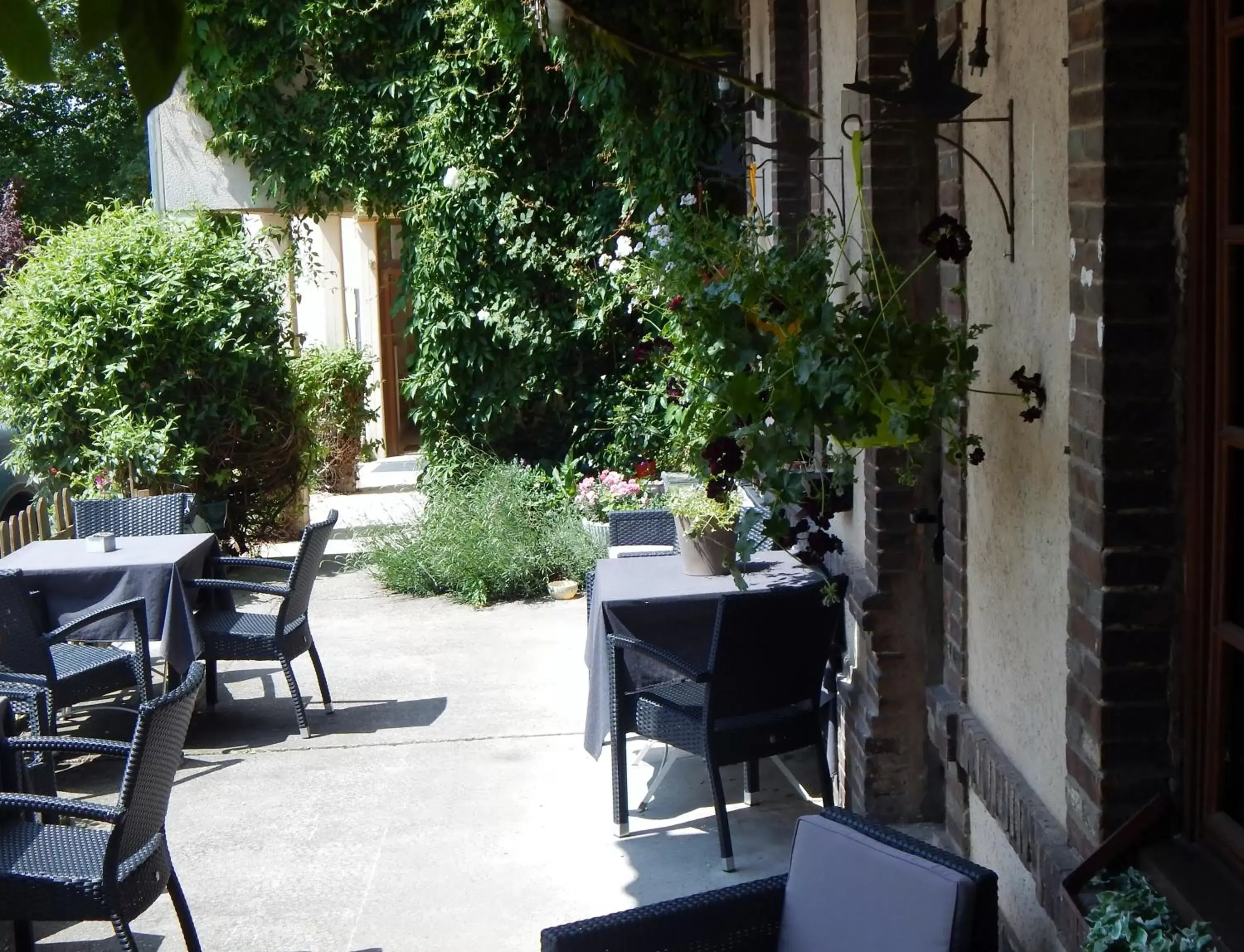 Balcony/Terrace in Hotel Restaurant Le Cygne