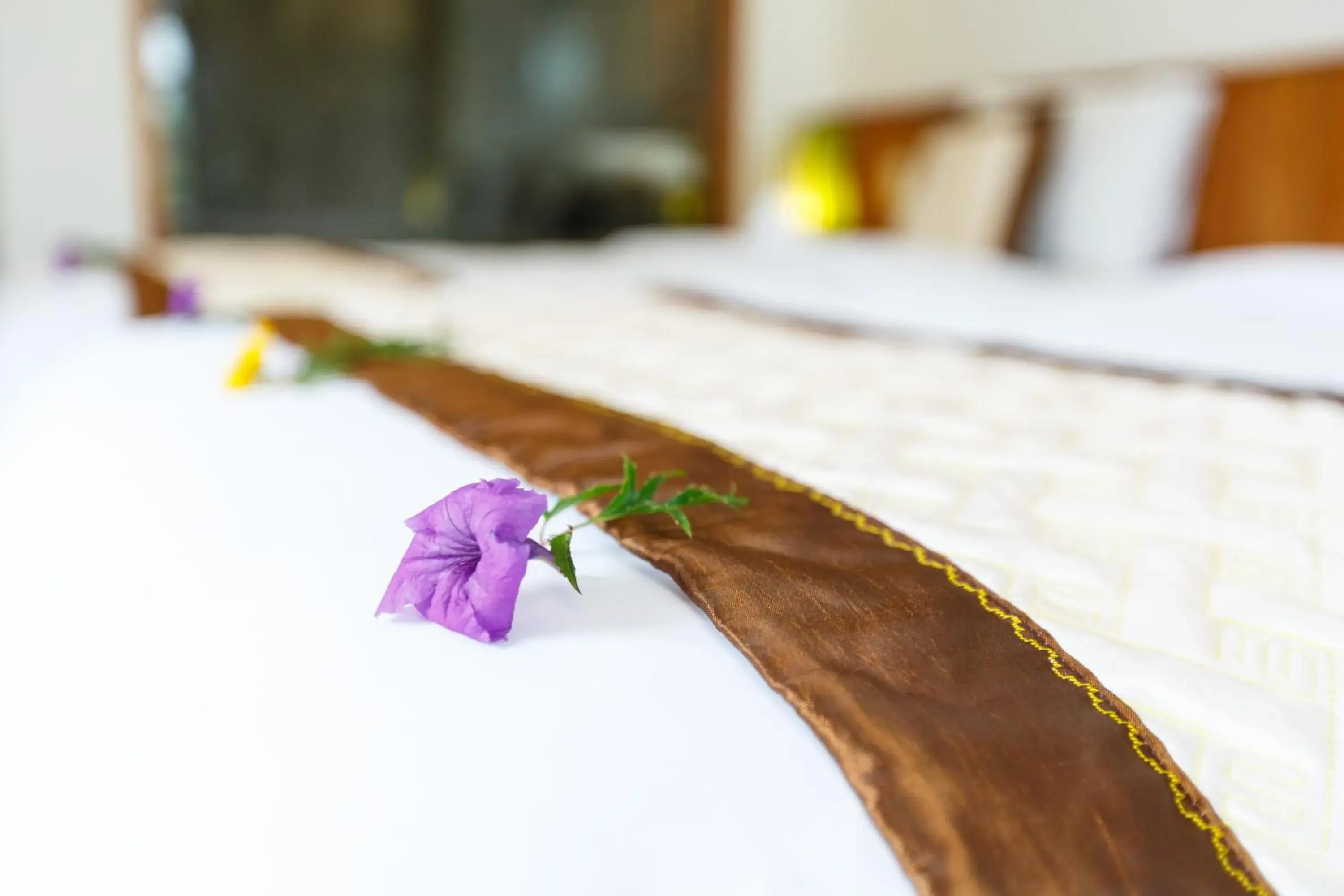 Decorative detail, Bed in Lama Villa Hoi An