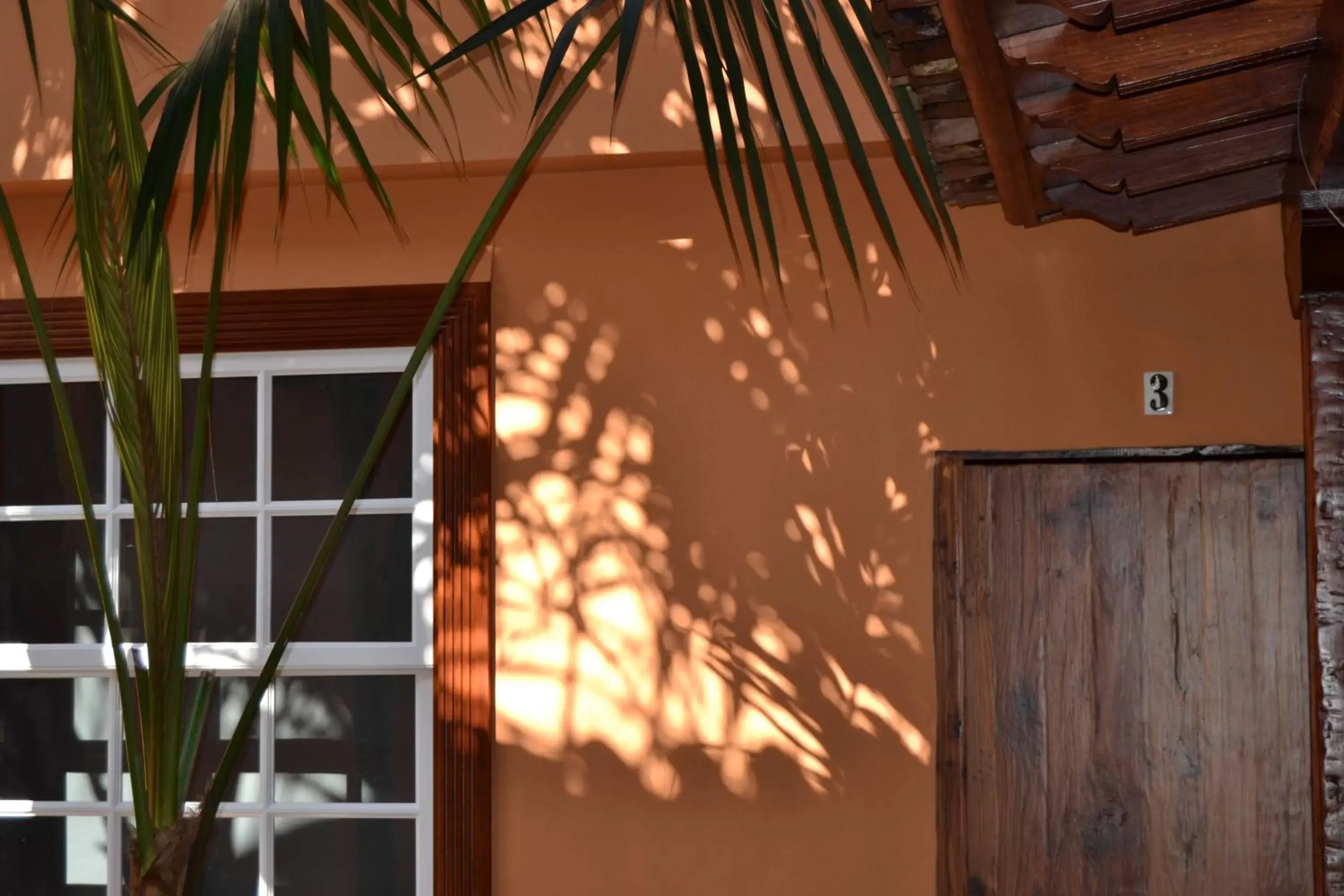 Patio in Hotel Emblemático San Marcos