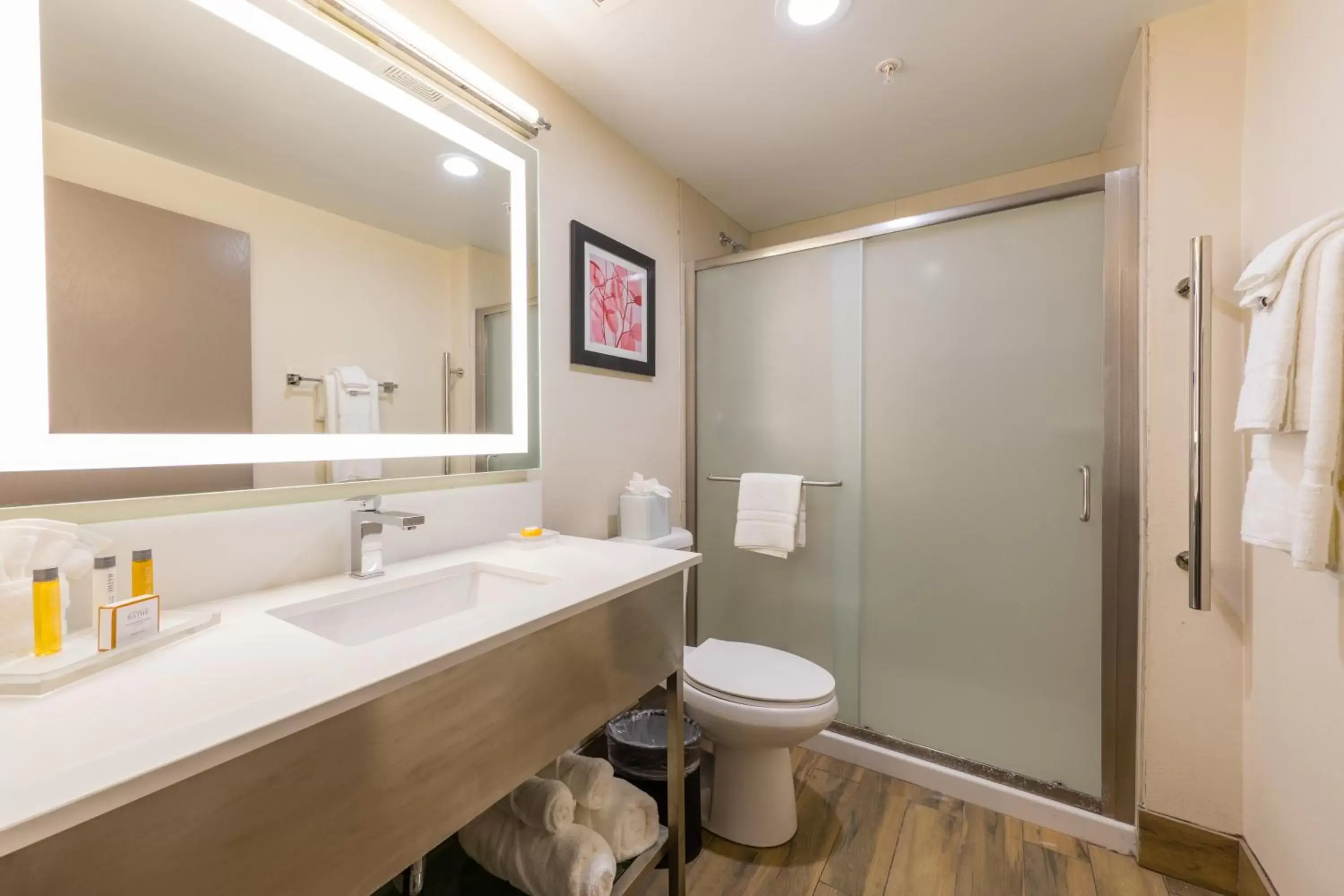 Shower, Bathroom in Brookfield- Milwaukee Hotel
