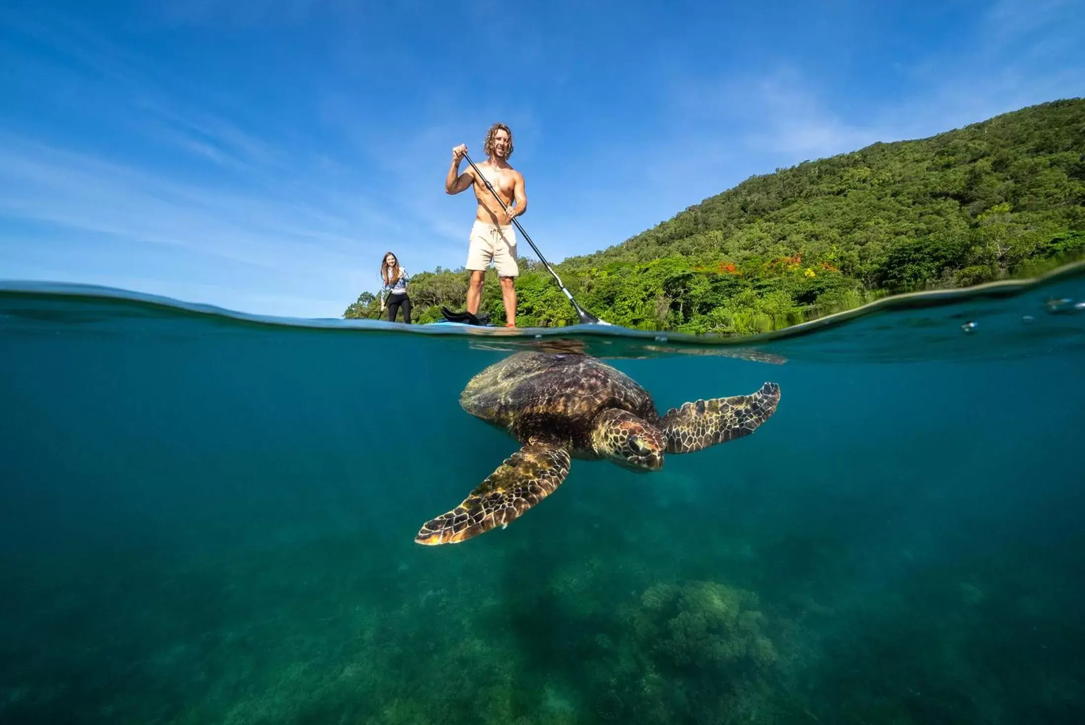 Natural landscape in Fitzroy Island Resort