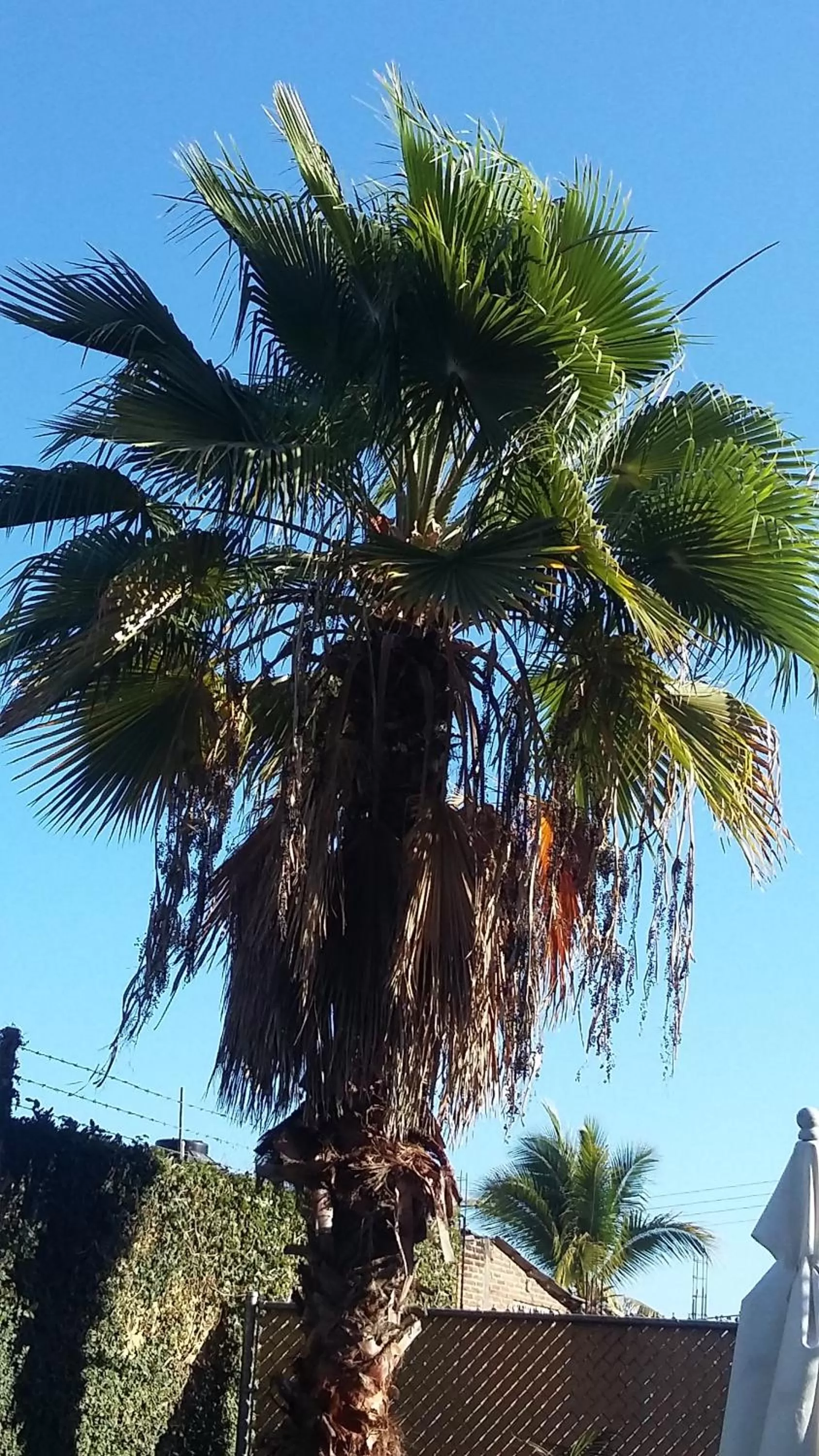 Natural landscape in Delfin